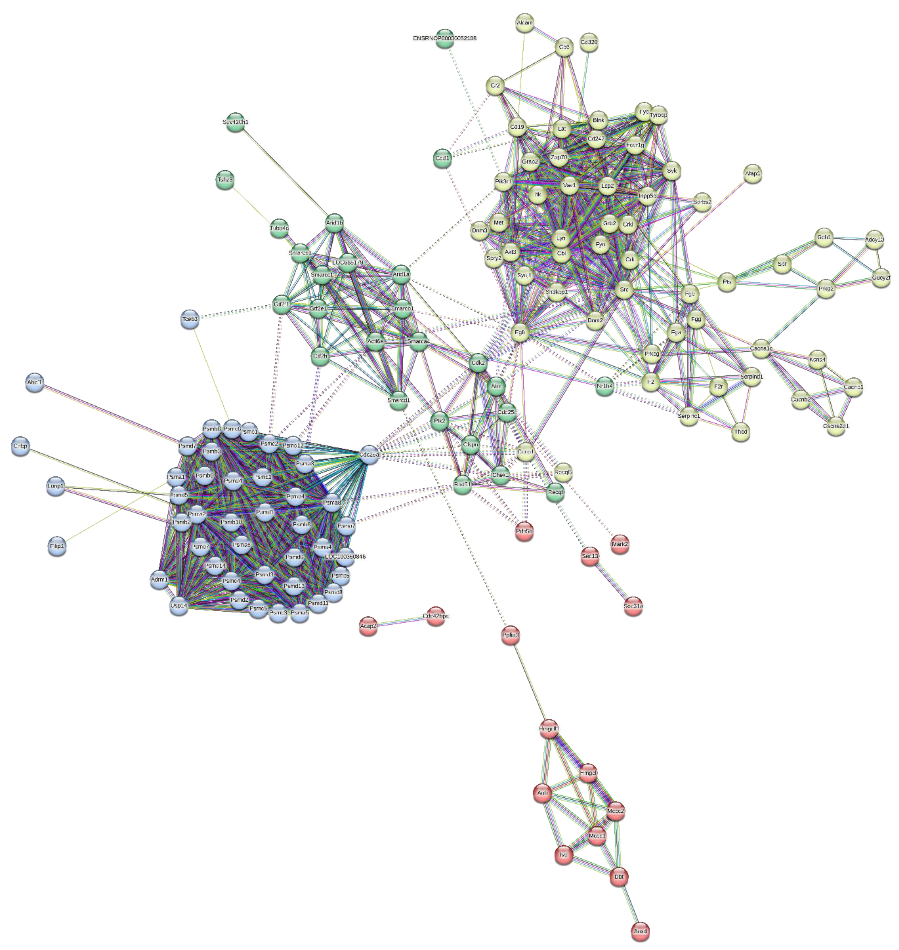 Brainsci 13 01391 g009