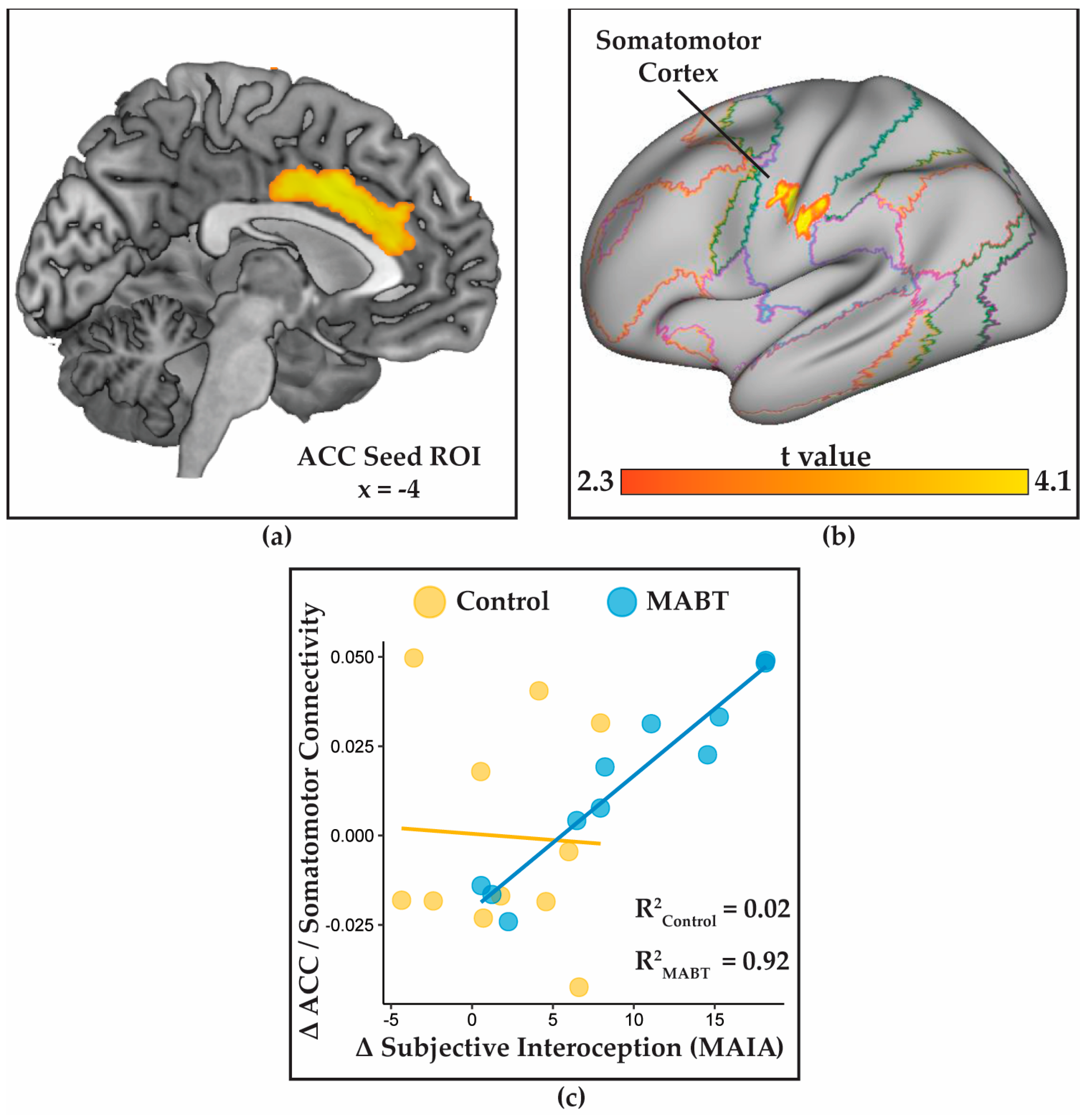 Brainsci 13 01396 g003 Brainsci 13 01396 g003