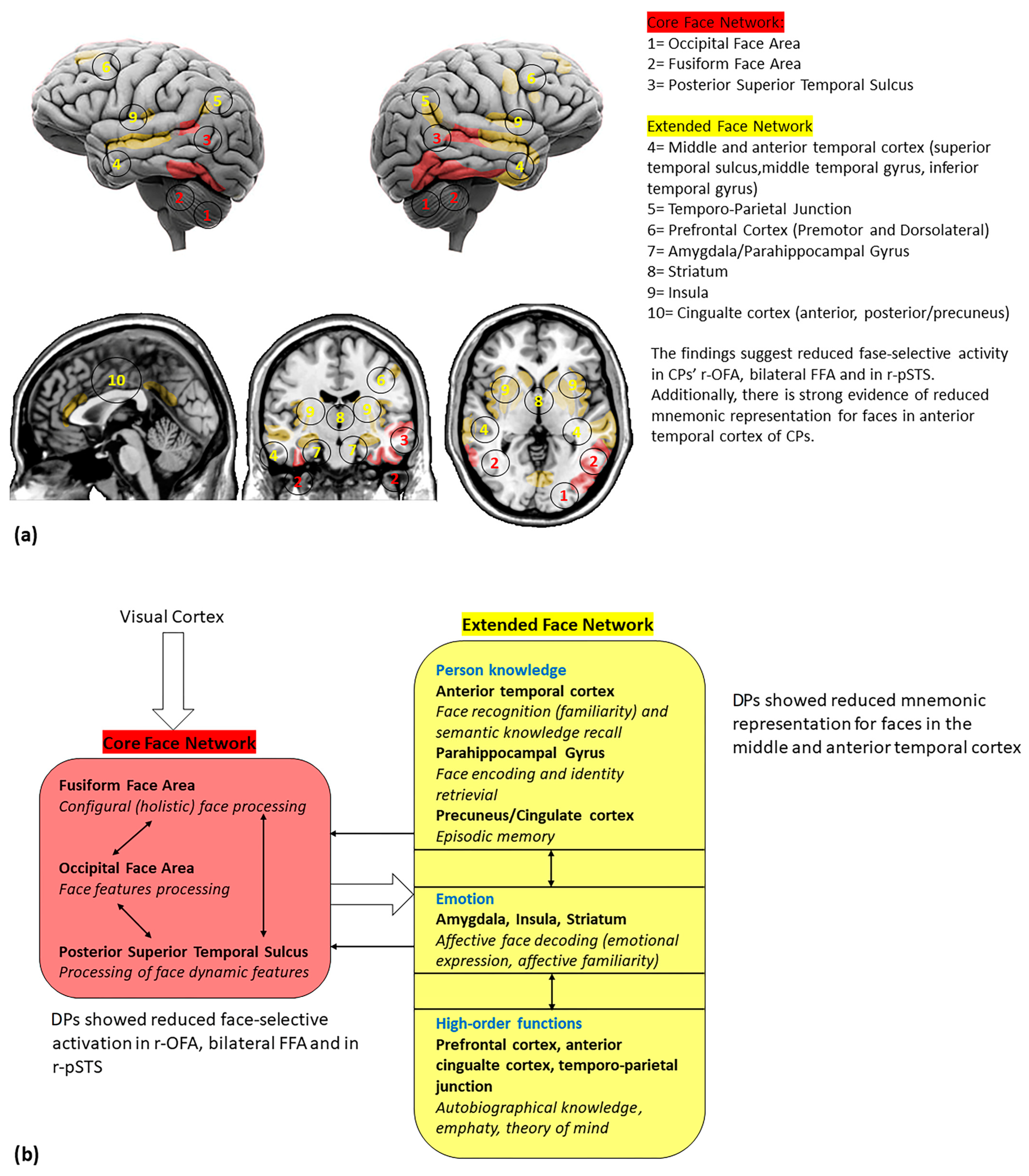 Brainsci 13 01399 g002