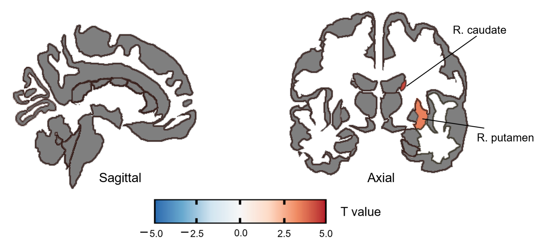 Brainsci 13 01403 g001