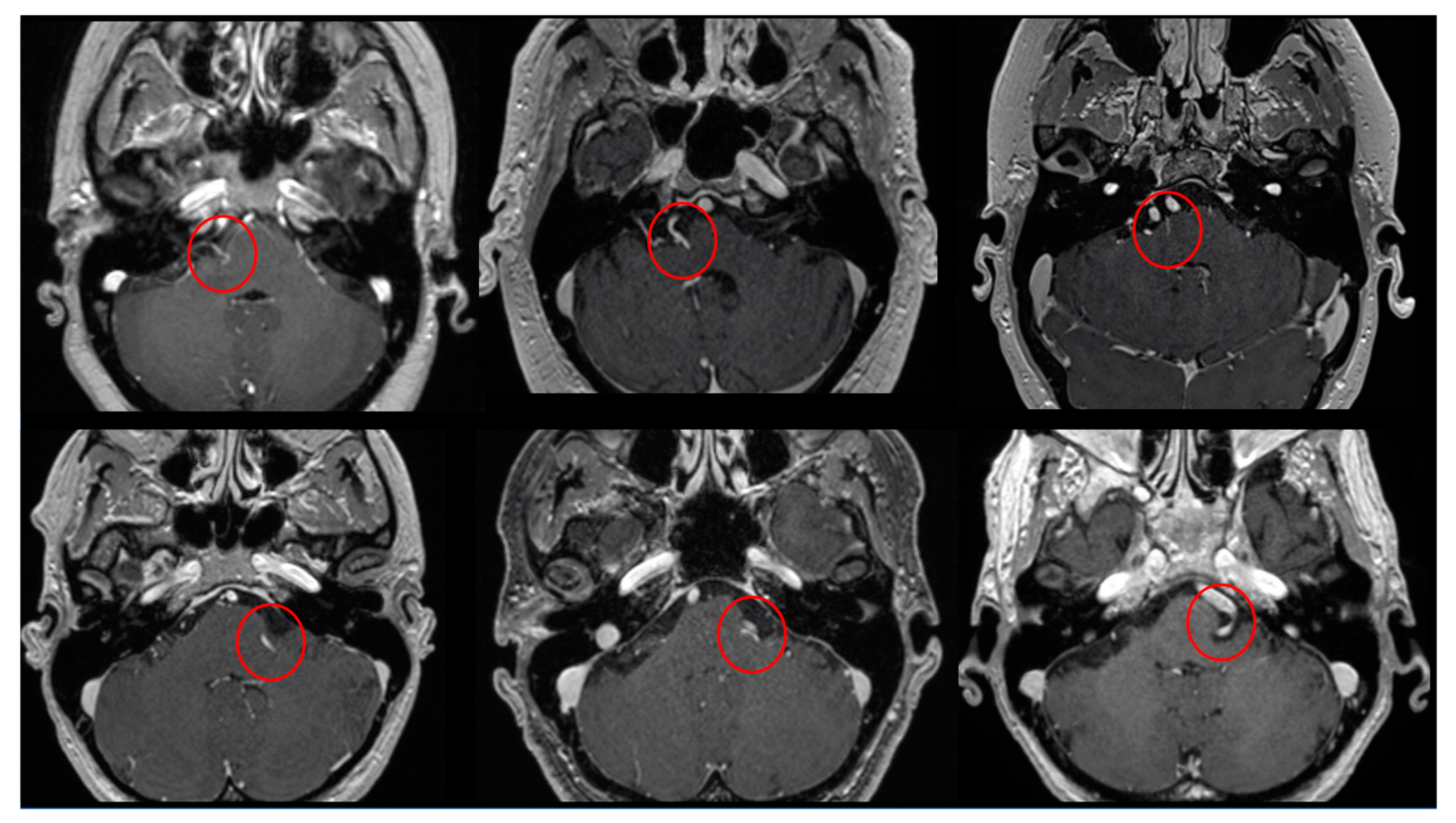 Brainsci 13 01434 g002