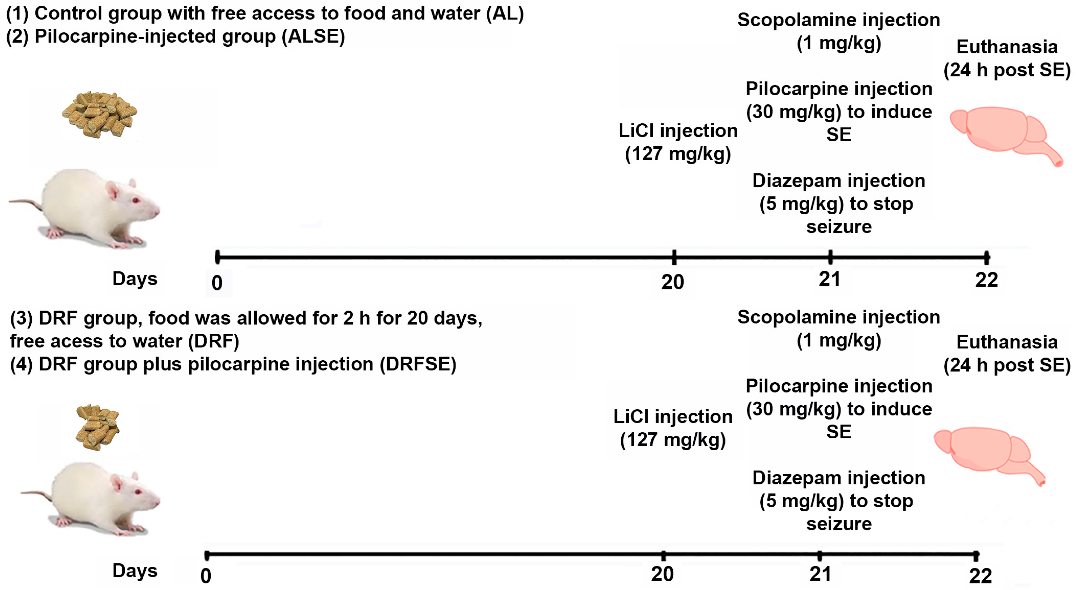 Brainsci 13 01442 g001