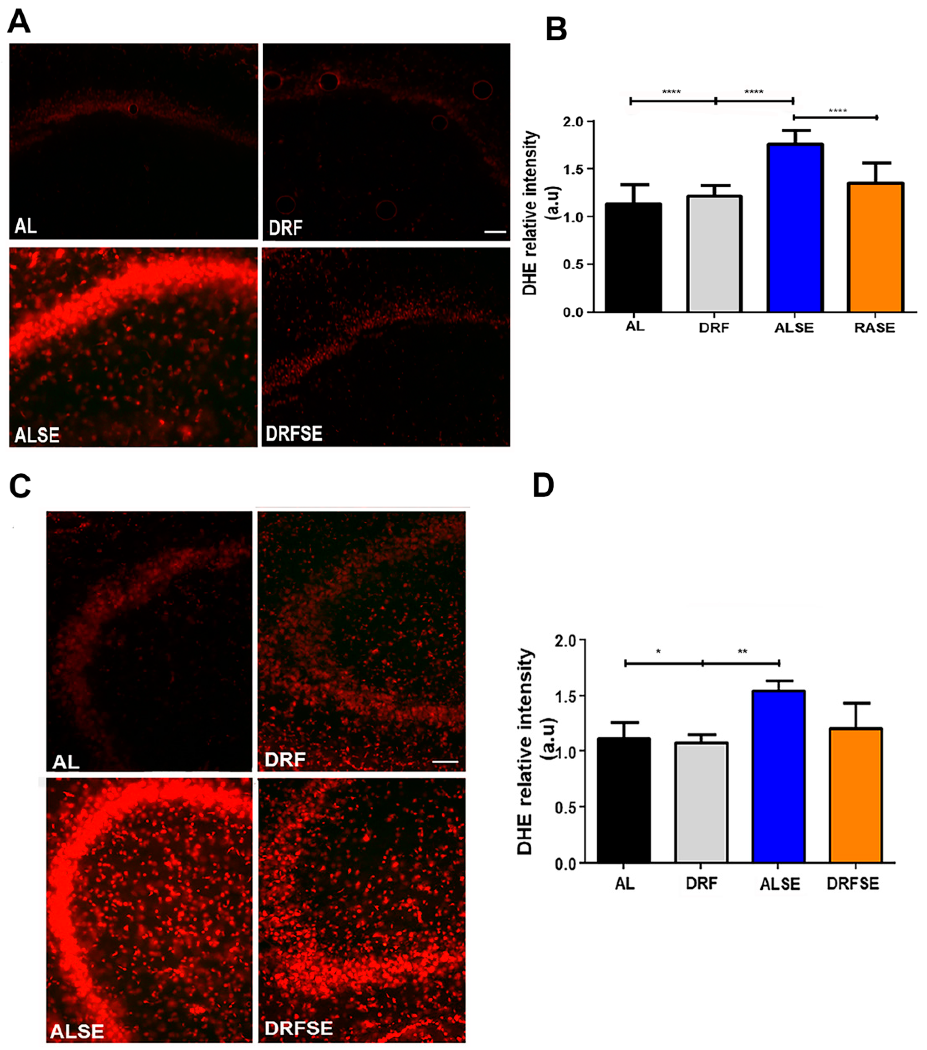 Brainsci 13 01442 g003