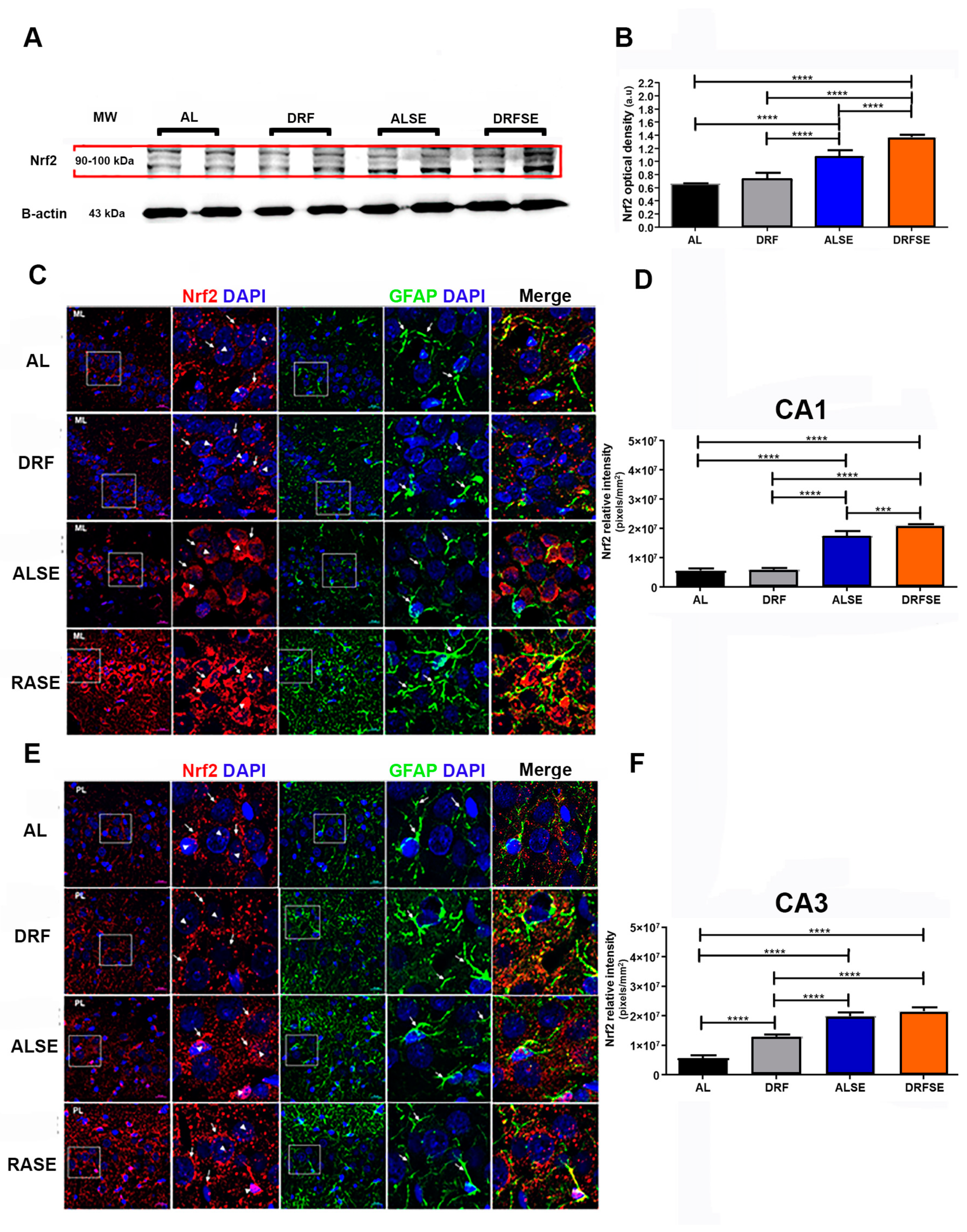 Brainsci 13 01442 g004