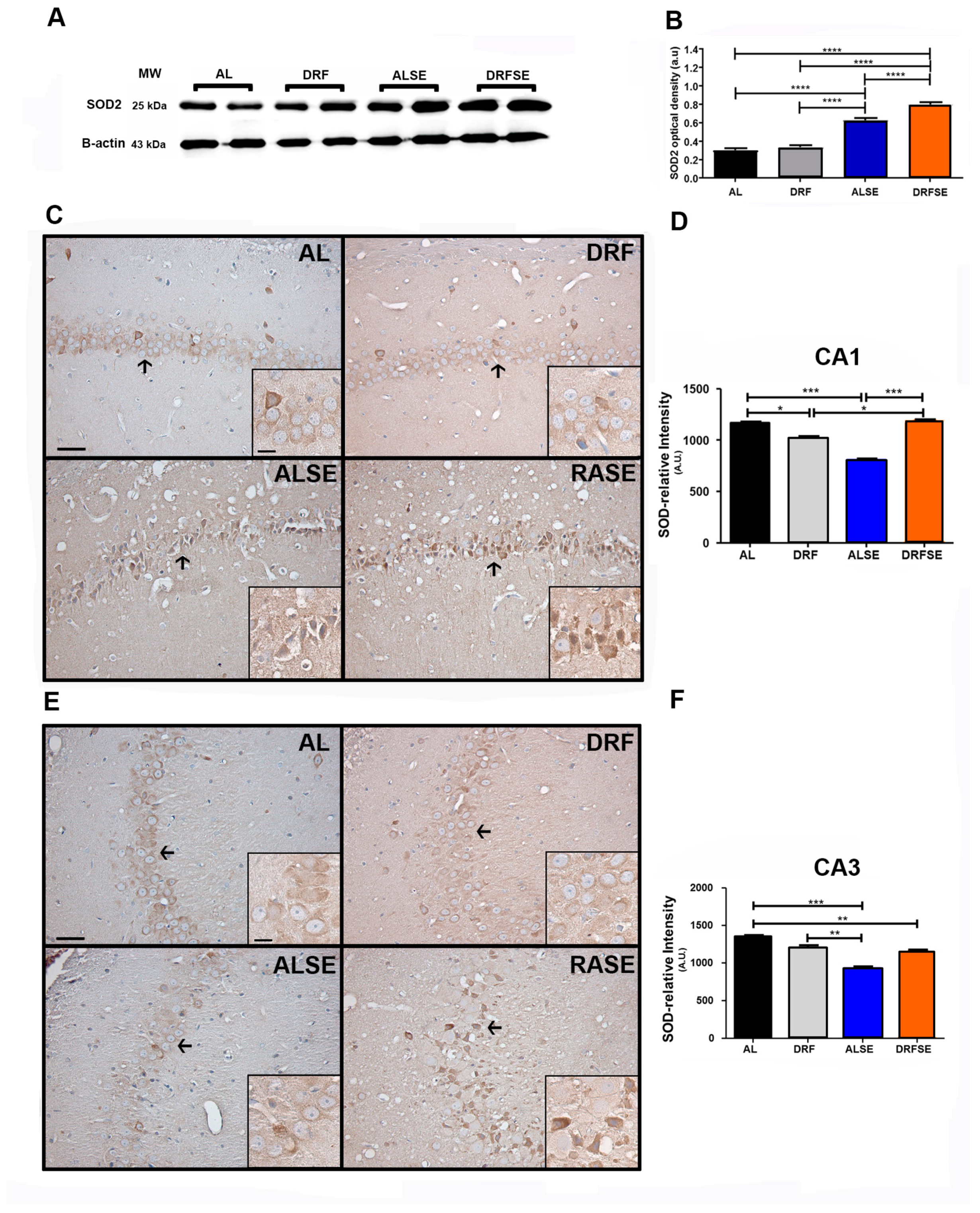 Brainsci 13 01442 g005