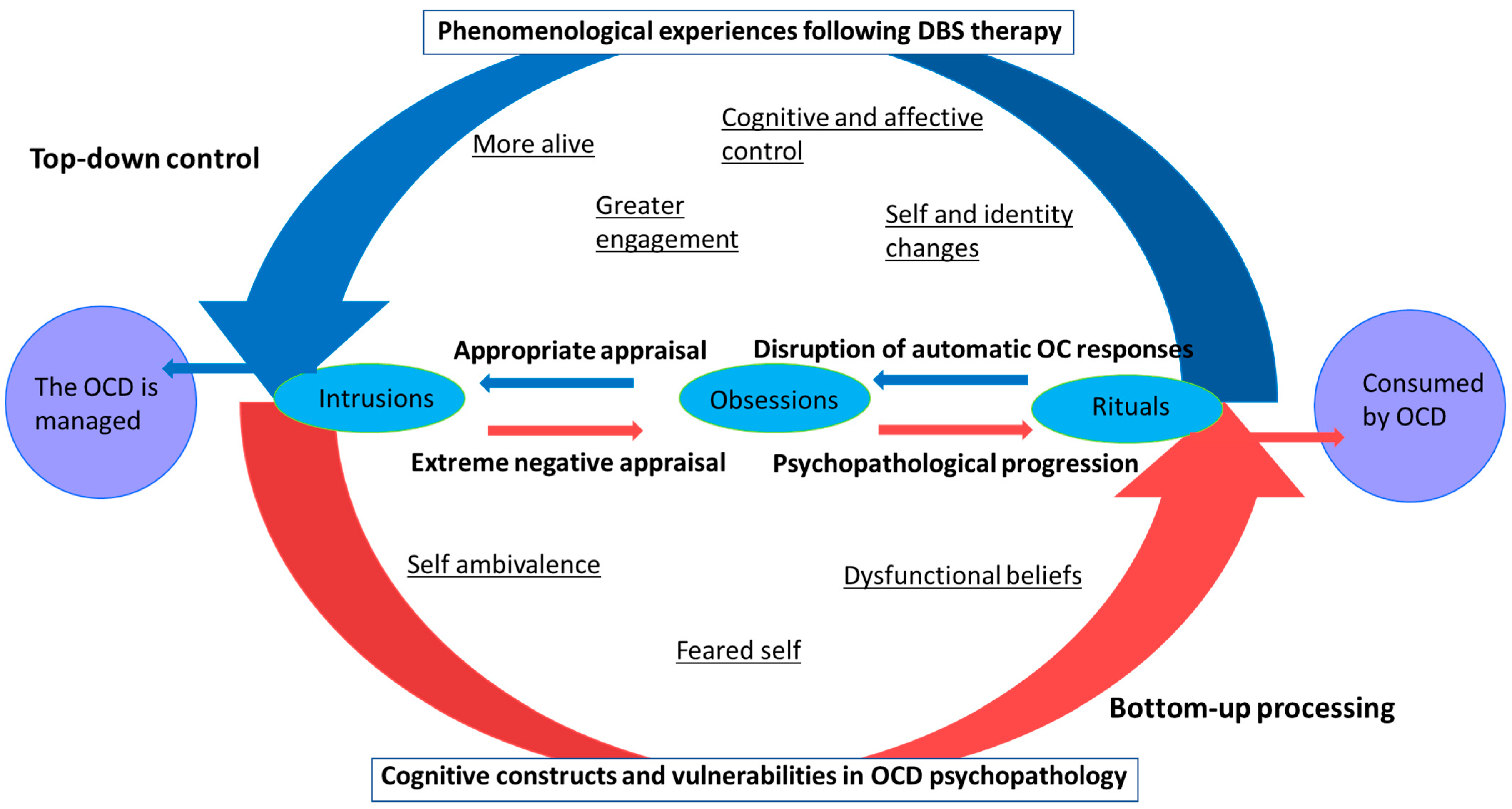 Brainsci 13 01444 g003