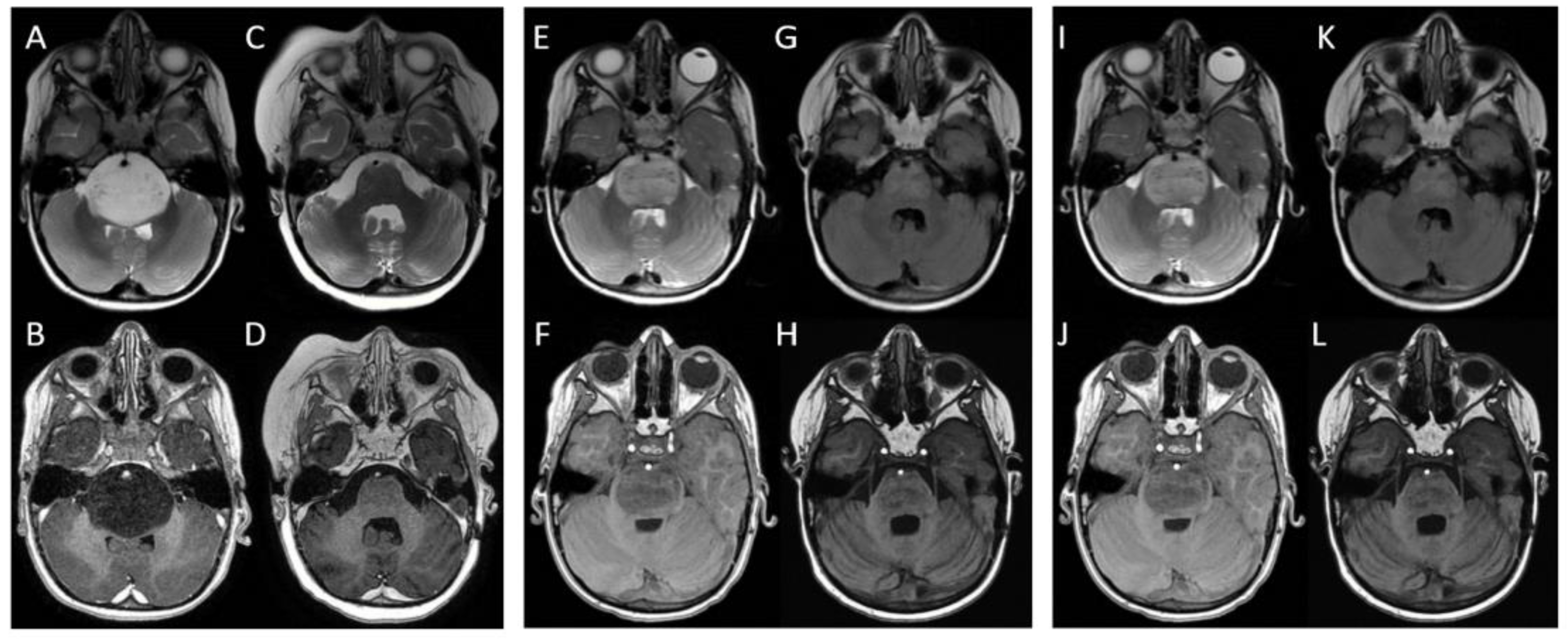 Brainsci 13 01449 g002 Brainsci 13 01449 g002
