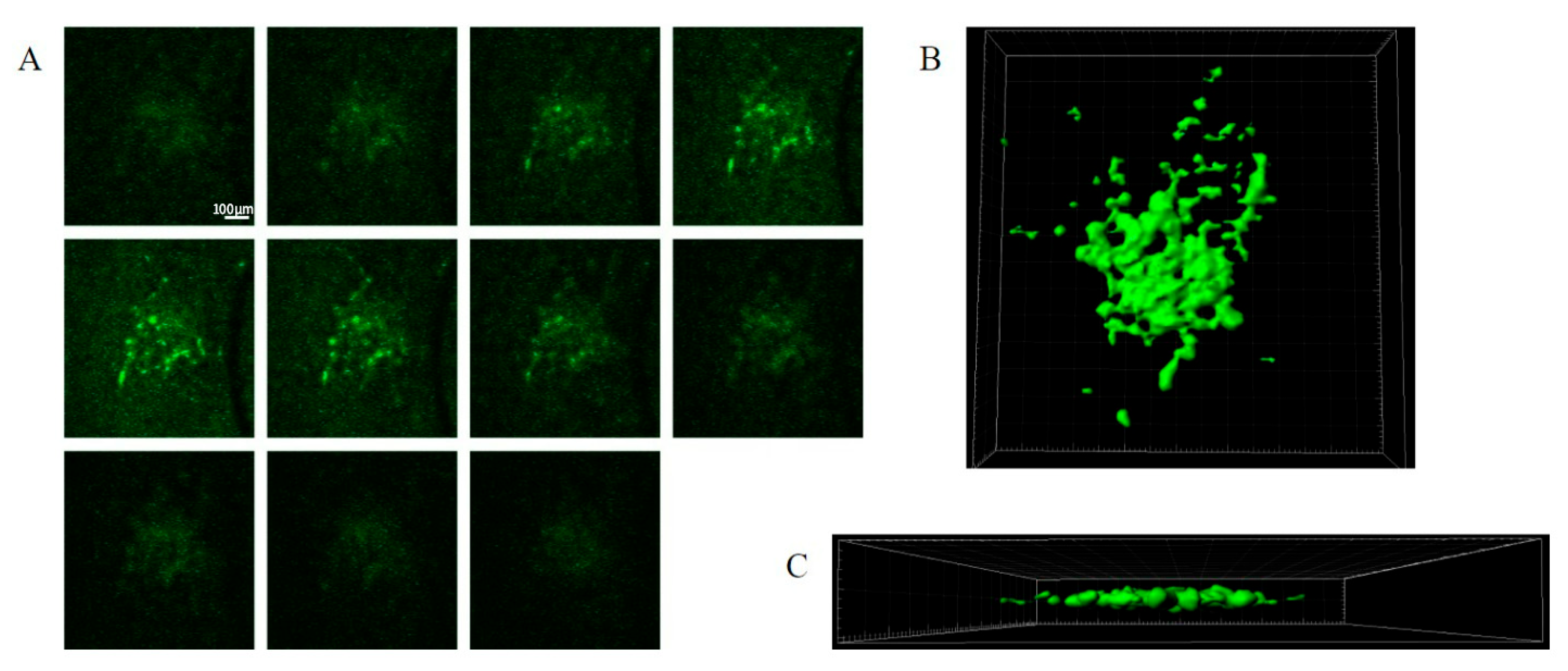 Brainsci 13 01451 g003