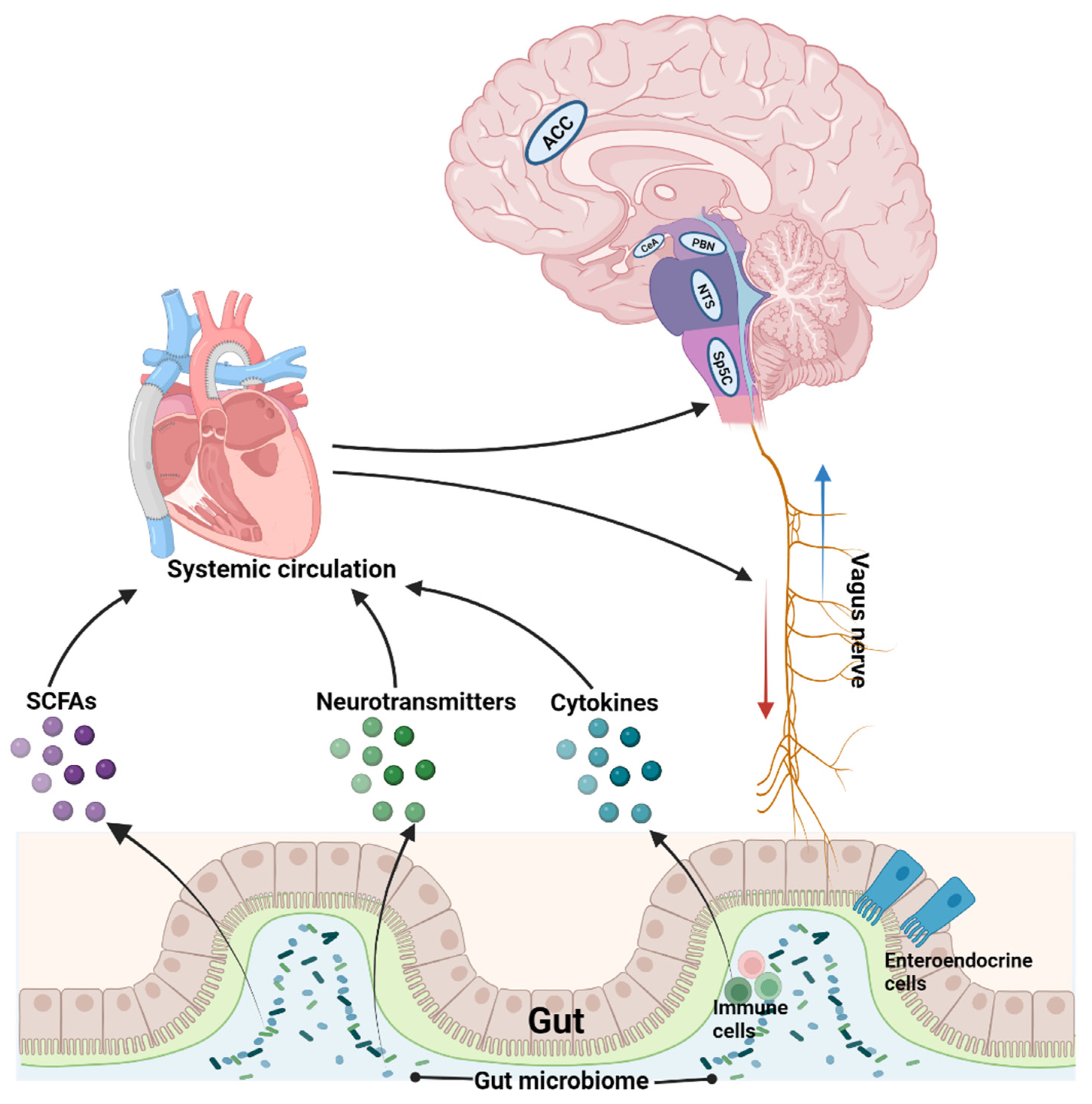 Brainsci 13 01456 g001