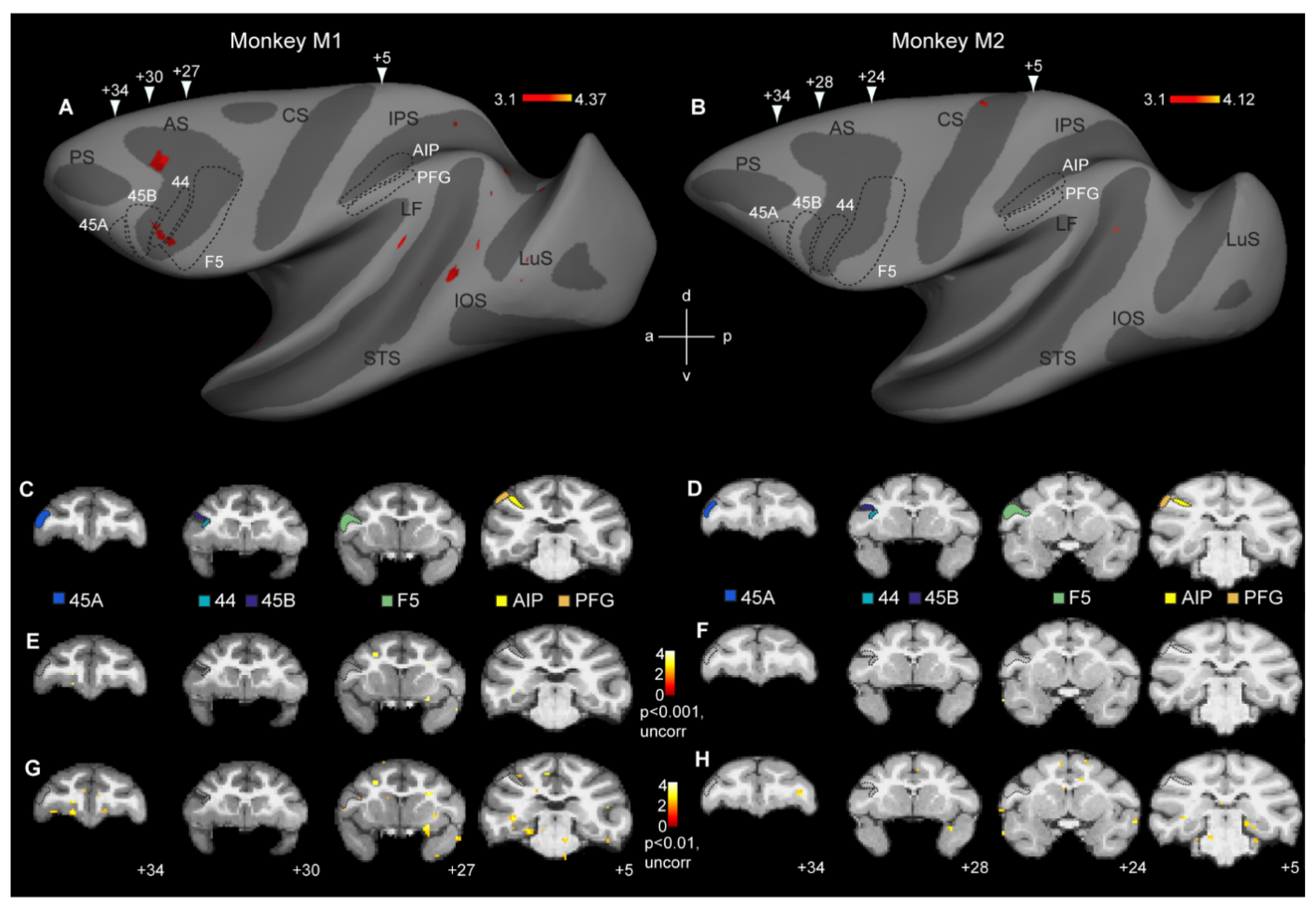 Brainsci 13 01466 g002