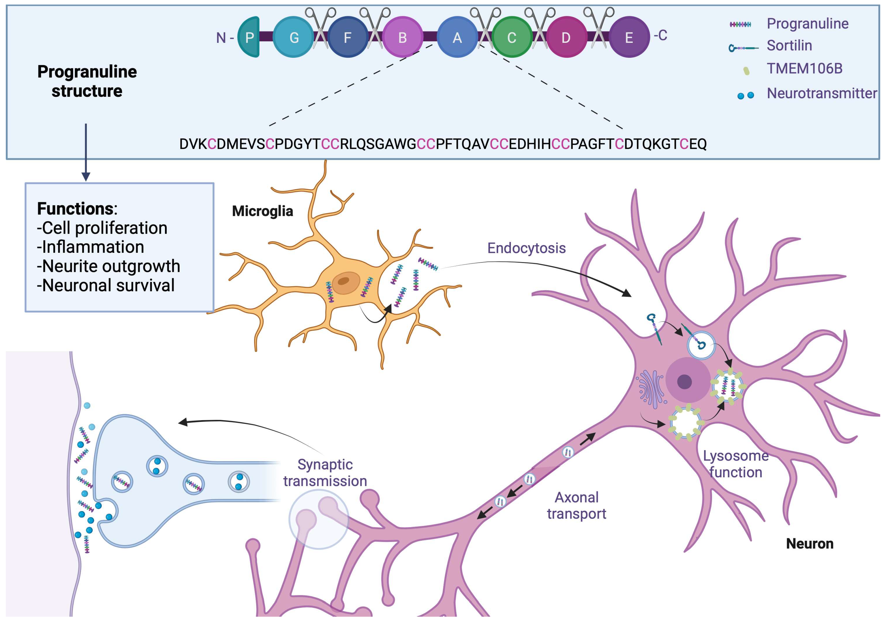 Brainsci 13 01474 g005 Brainsci 13 01474 g005