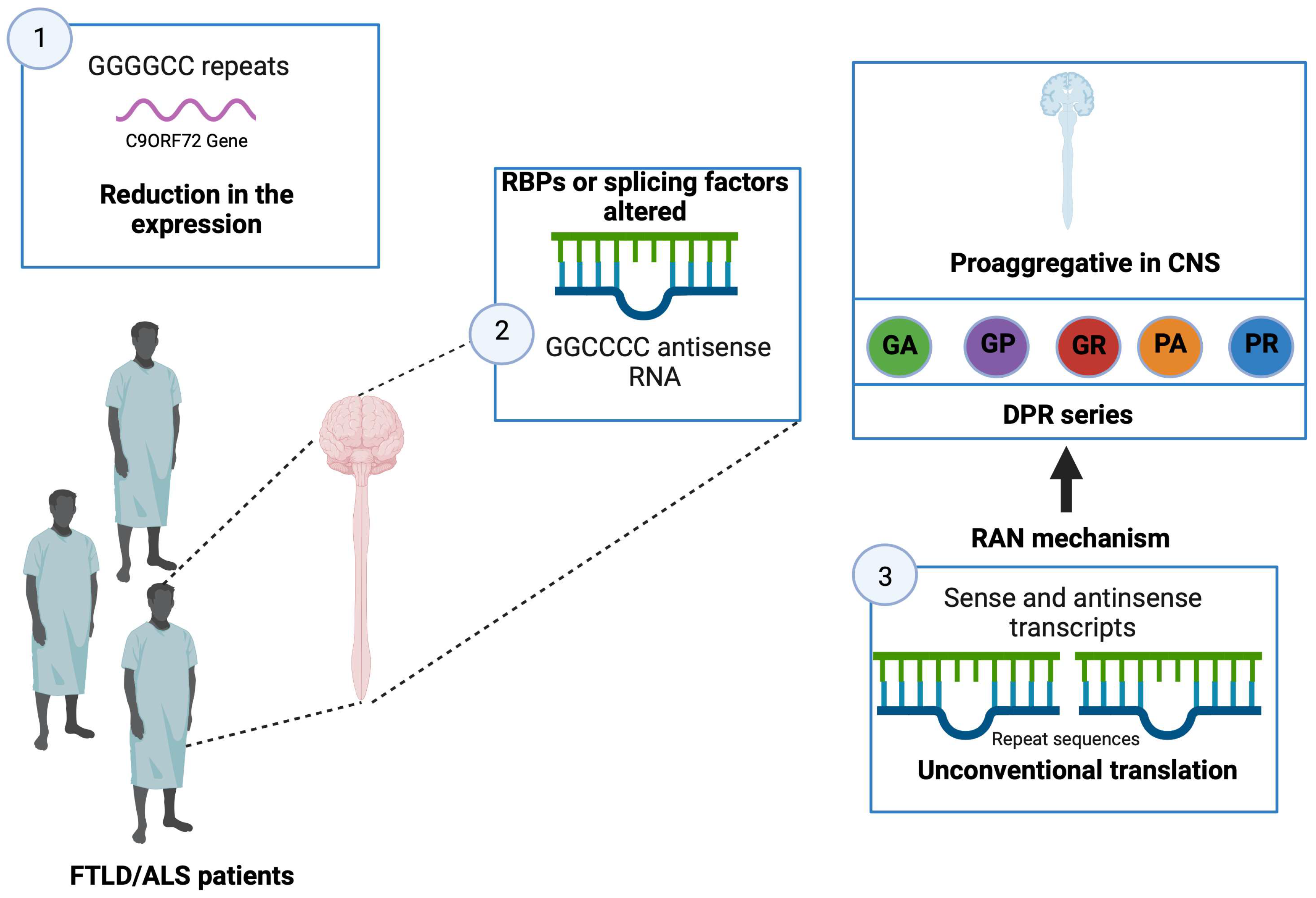 Brainsci 13 01474 g007 Brainsci 13 01474 g007