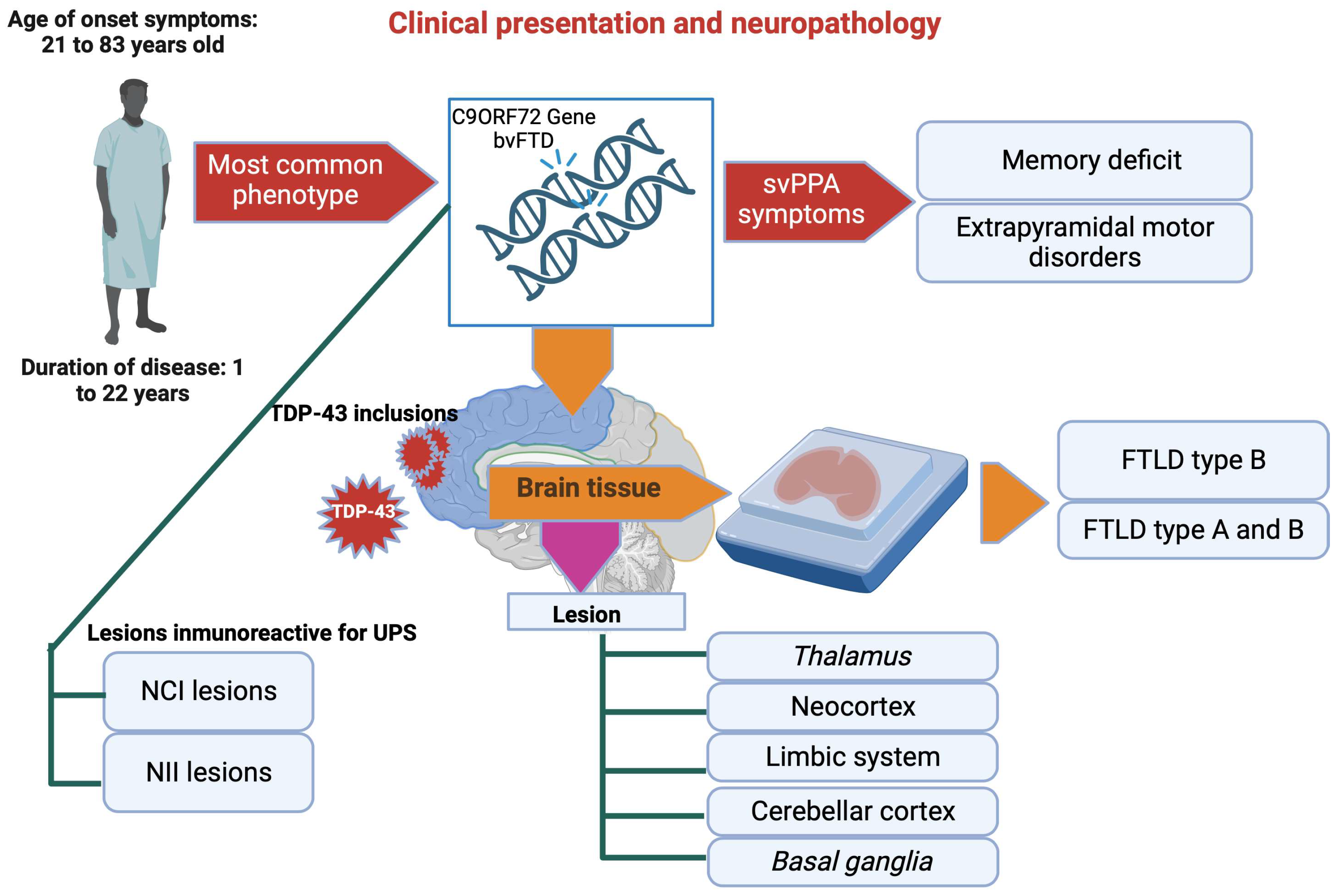 Brainsci 13 01474 g008 Brainsci 13 01474 g008