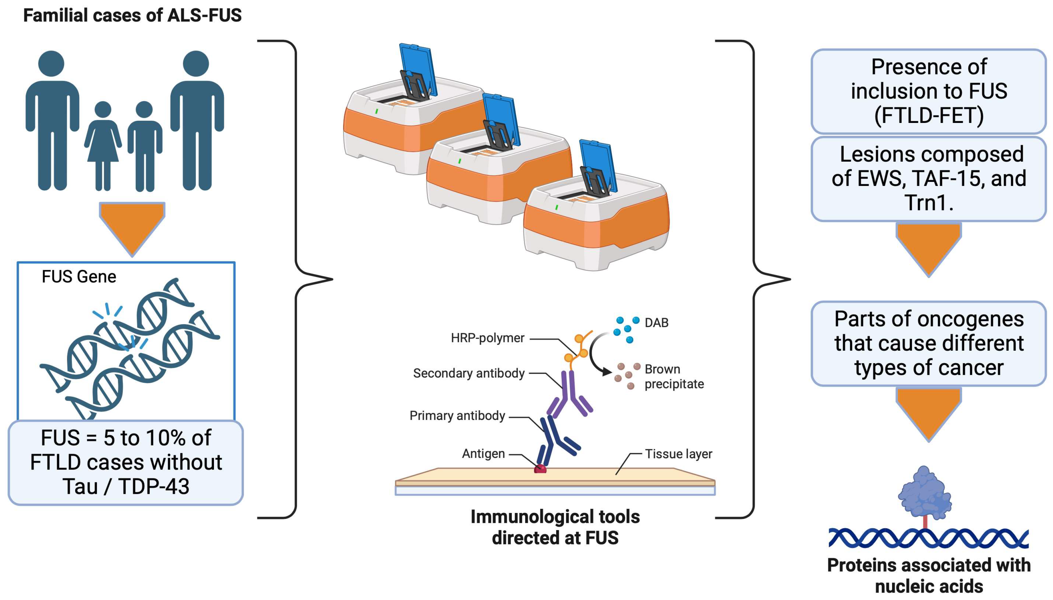 Brainsci 13 01474 g009 Brainsci 13 01474 g009