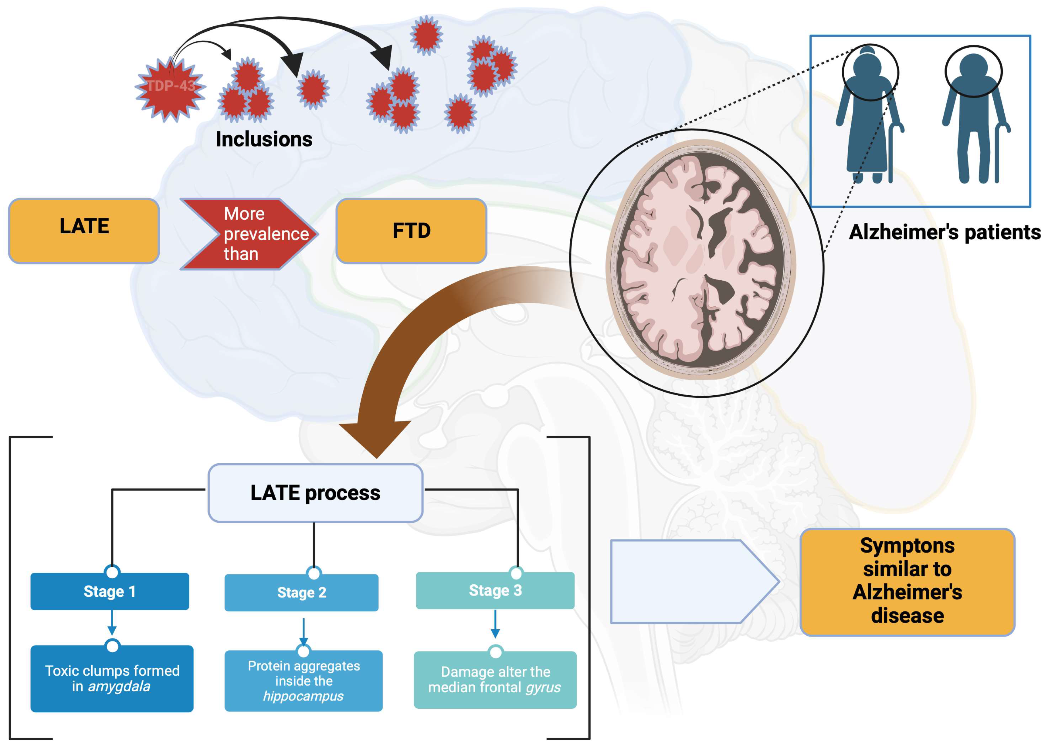 Brainsci 13 01474 g011 Brainsci 13 01474 g011