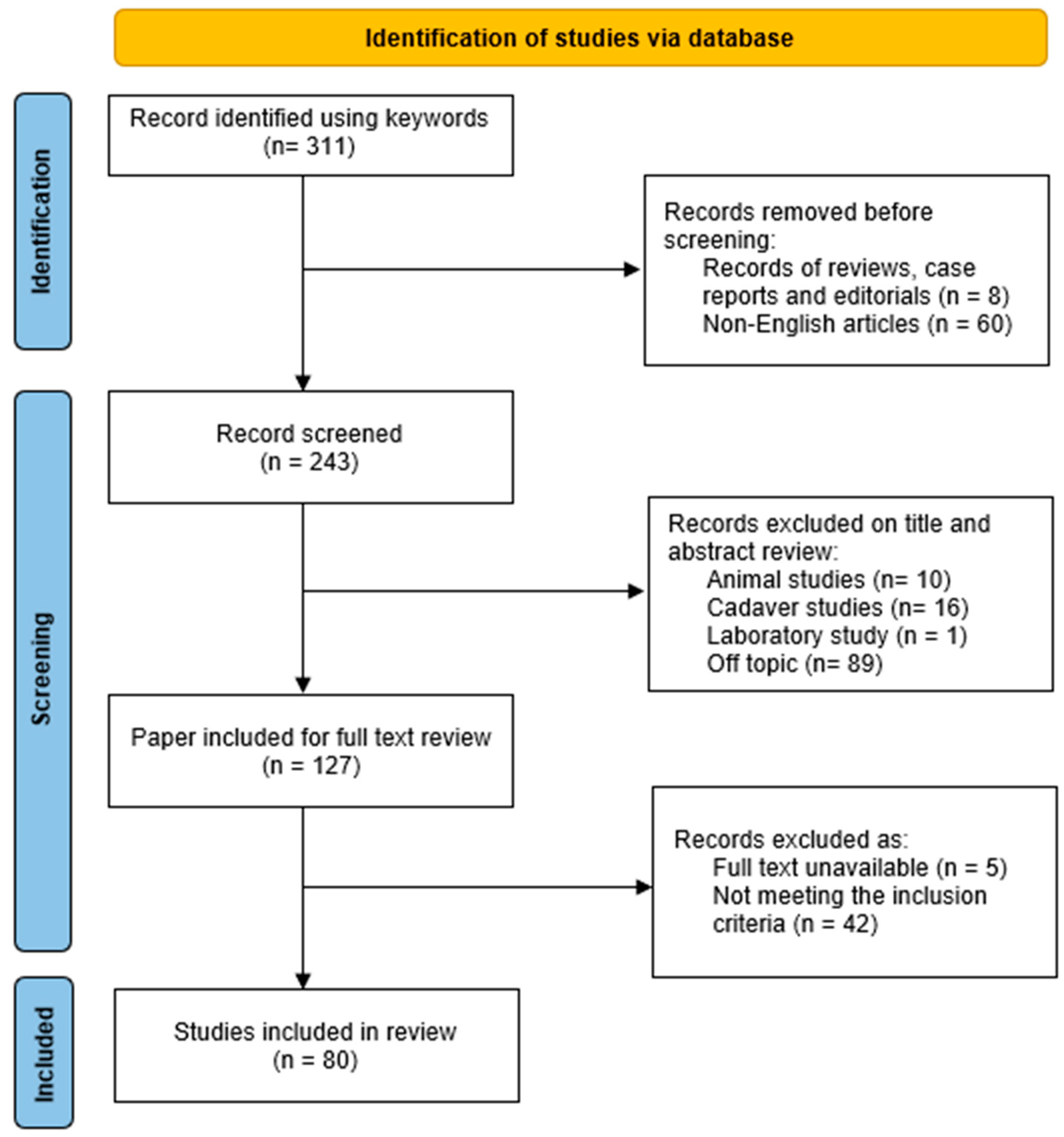 Brainsci 13 01476 g001