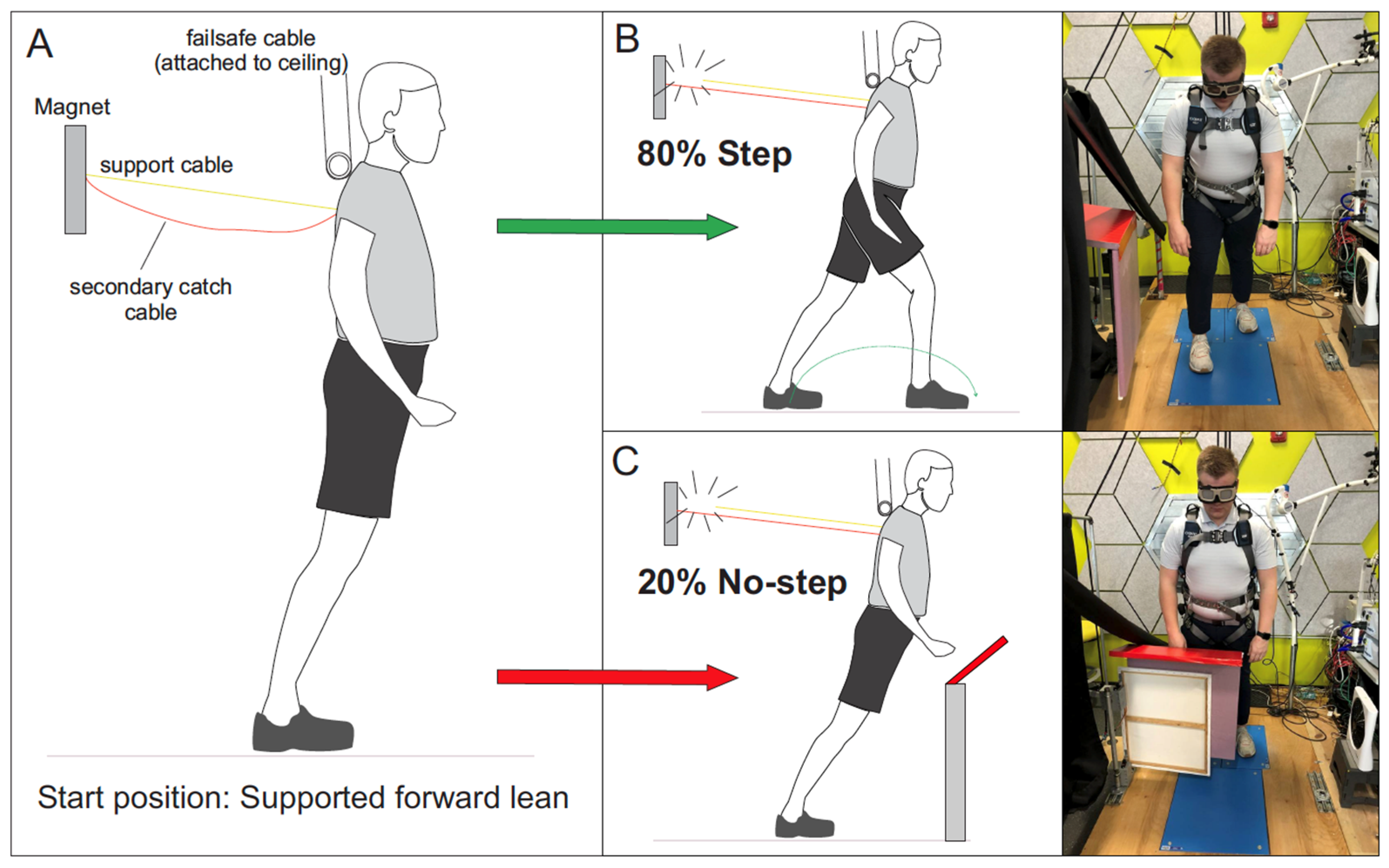 Brainsci 13 01488 g001 Brainsci 13 01488 g001