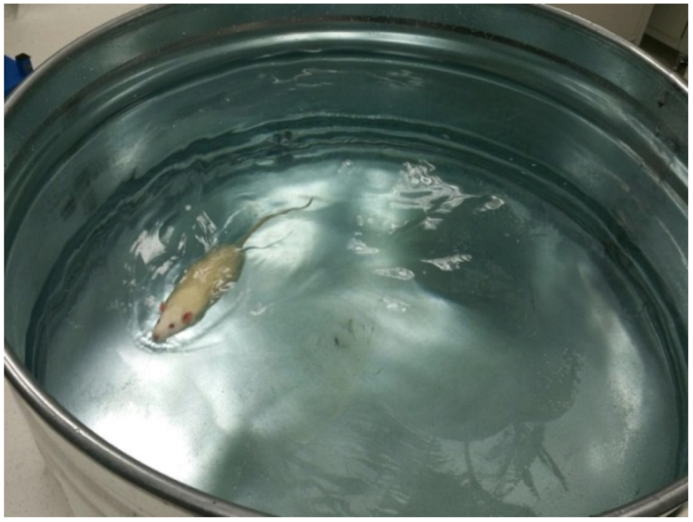 Brainsci 13 01492 g002