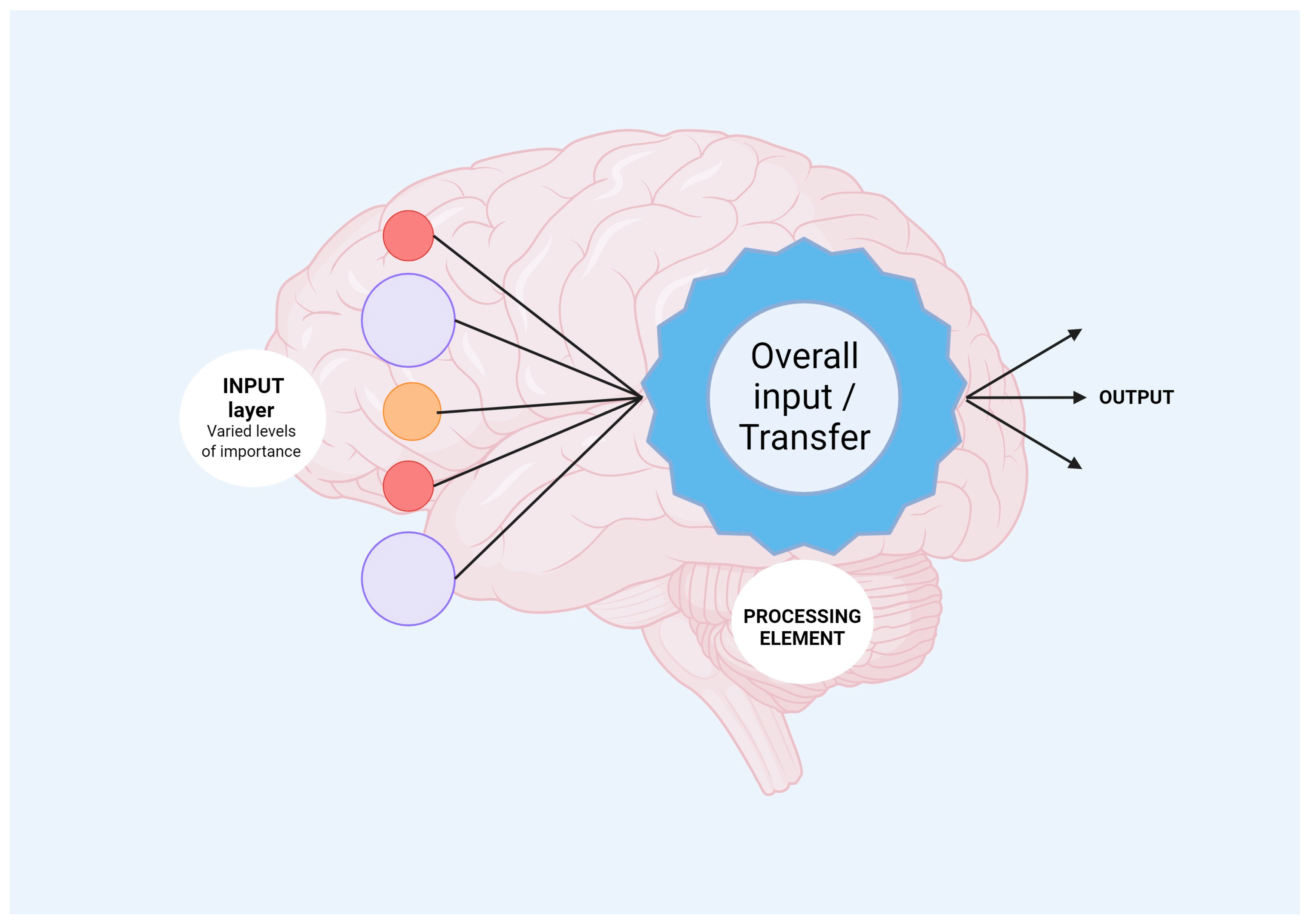 Brainsci 13 01495 g002