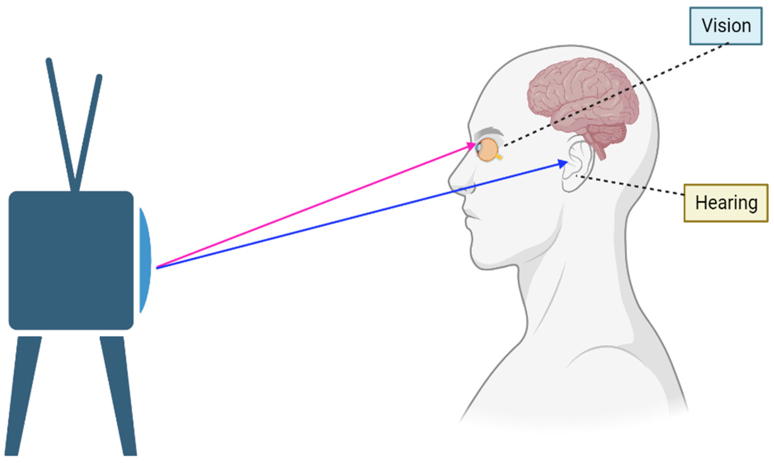 Brainsci 13 01504 g001 Brainsci 13 01504 g001