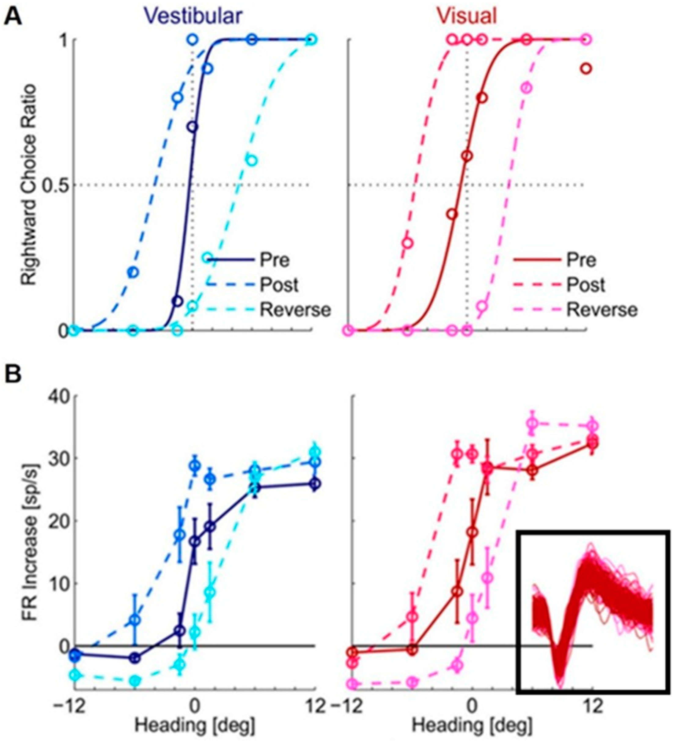 Brainsci 13 01504 g002 Brainsci 13 01504 g002