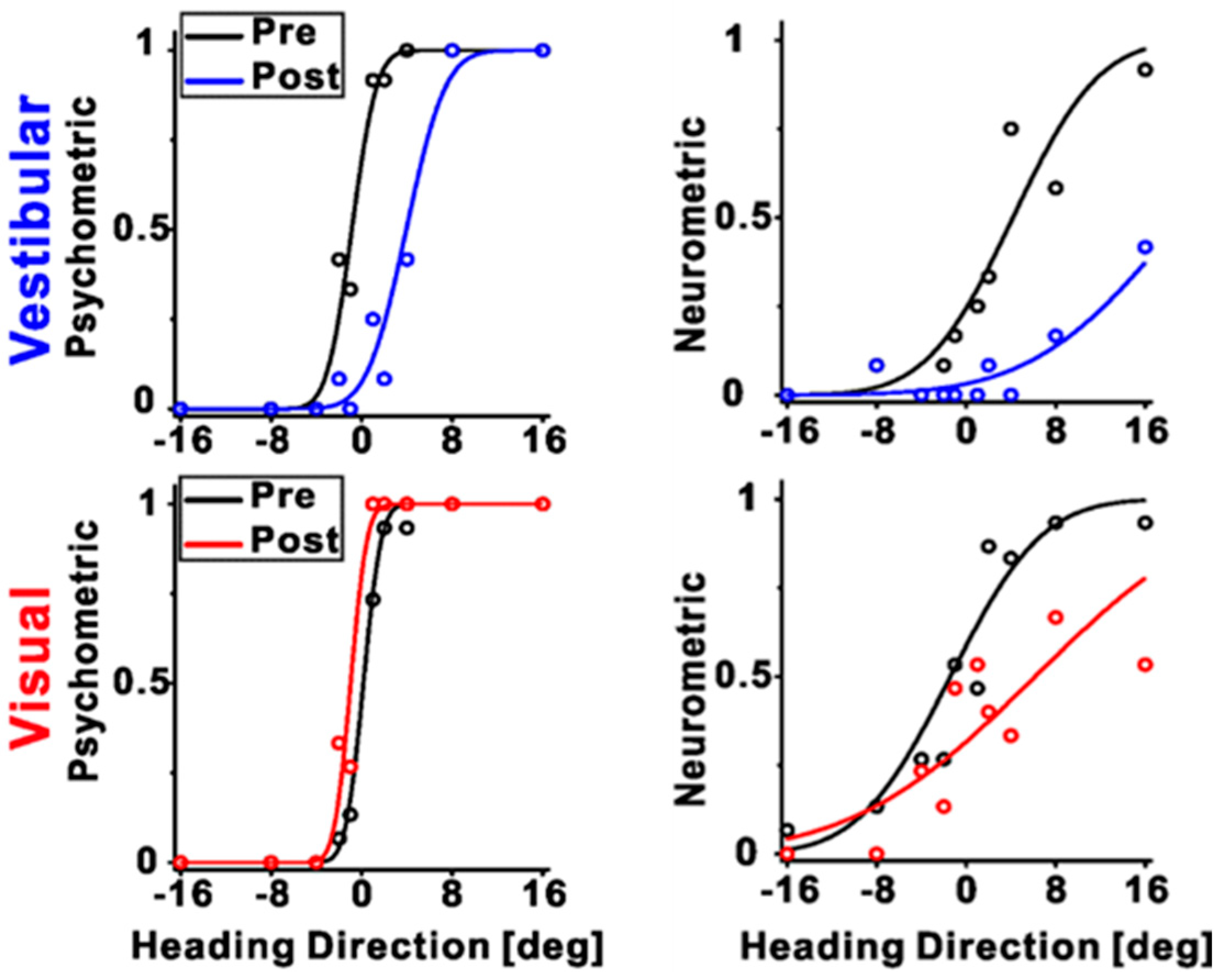 Brainsci 13 01504 g003 Brainsci 13 01504 g003