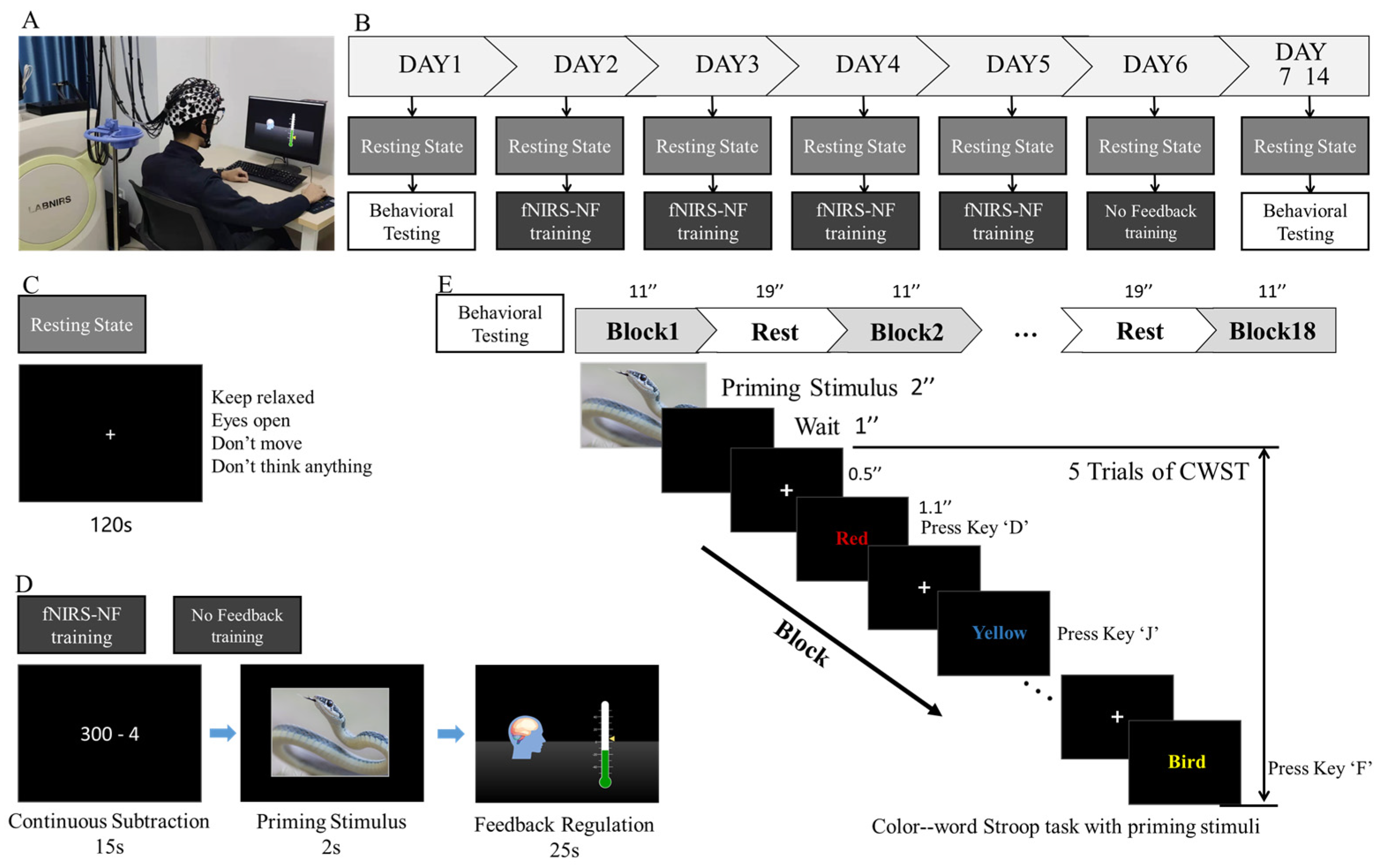 Brainsci 13 01516 g002