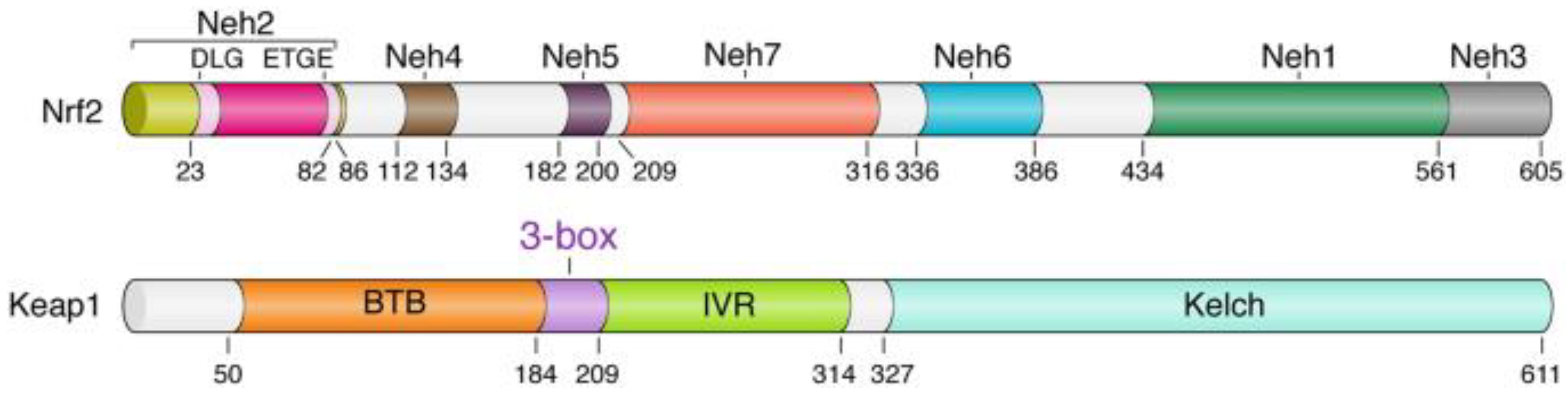 Brainsci 13 01532 g001