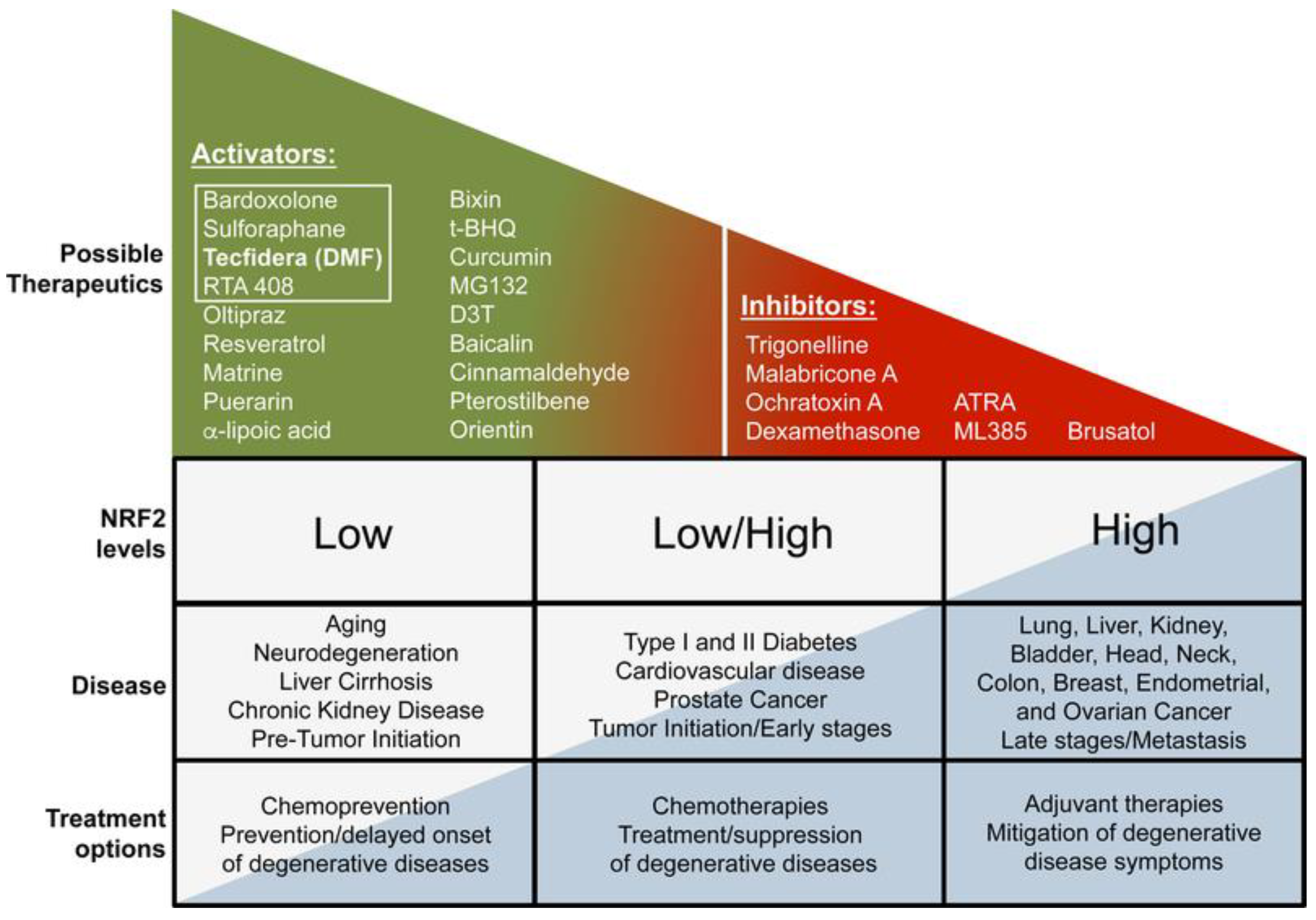 Brainsci 13 01532 g003