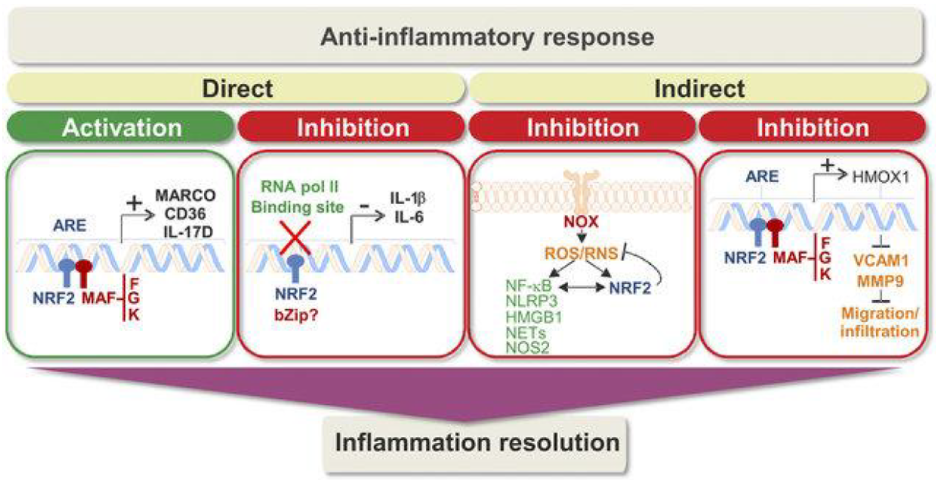 Brainsci 13 01532 g006