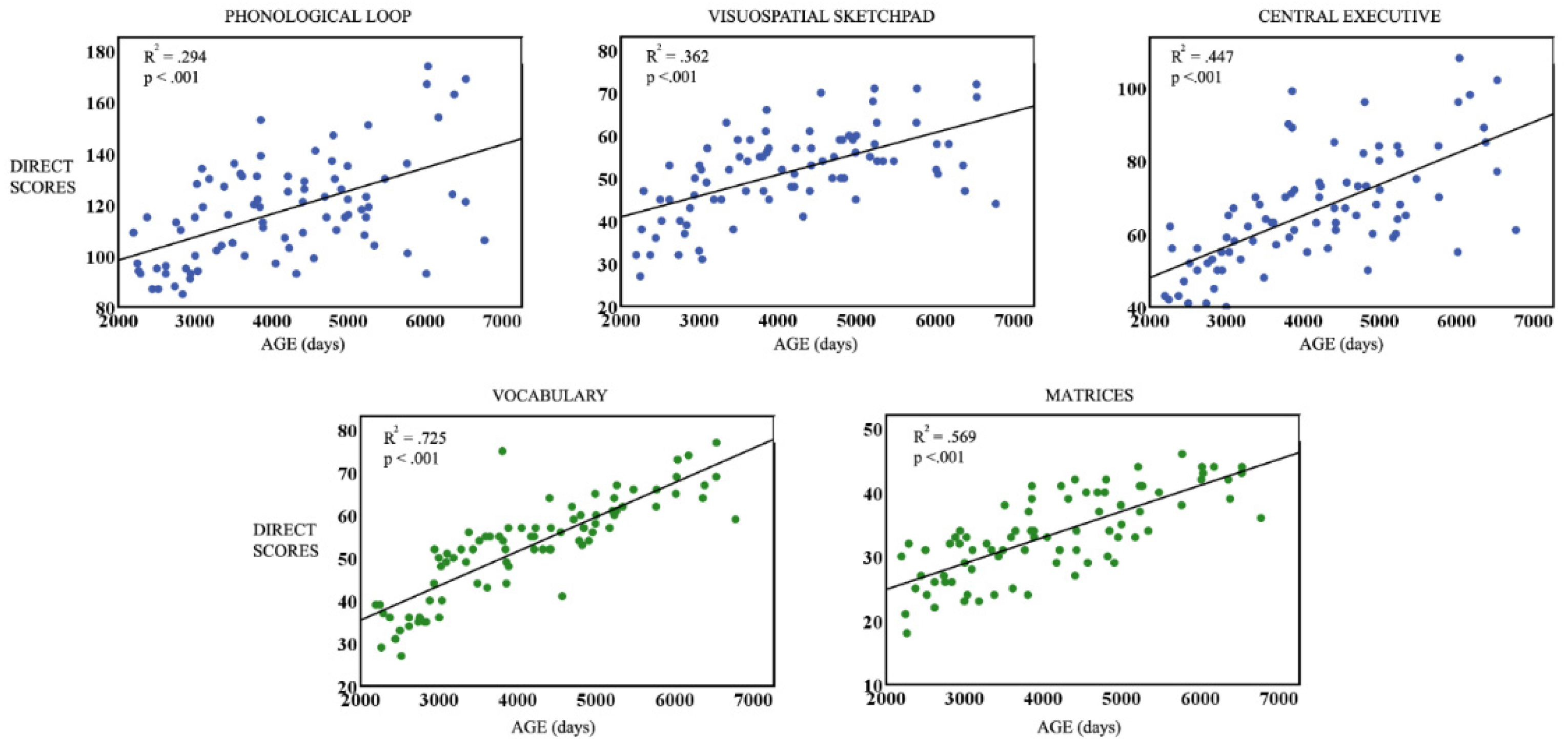 Brainsci 13 01538 g001