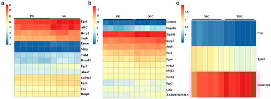 Brainsci 13 01556 g001