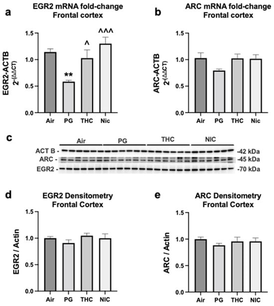 Brainsci 13 01556 g002