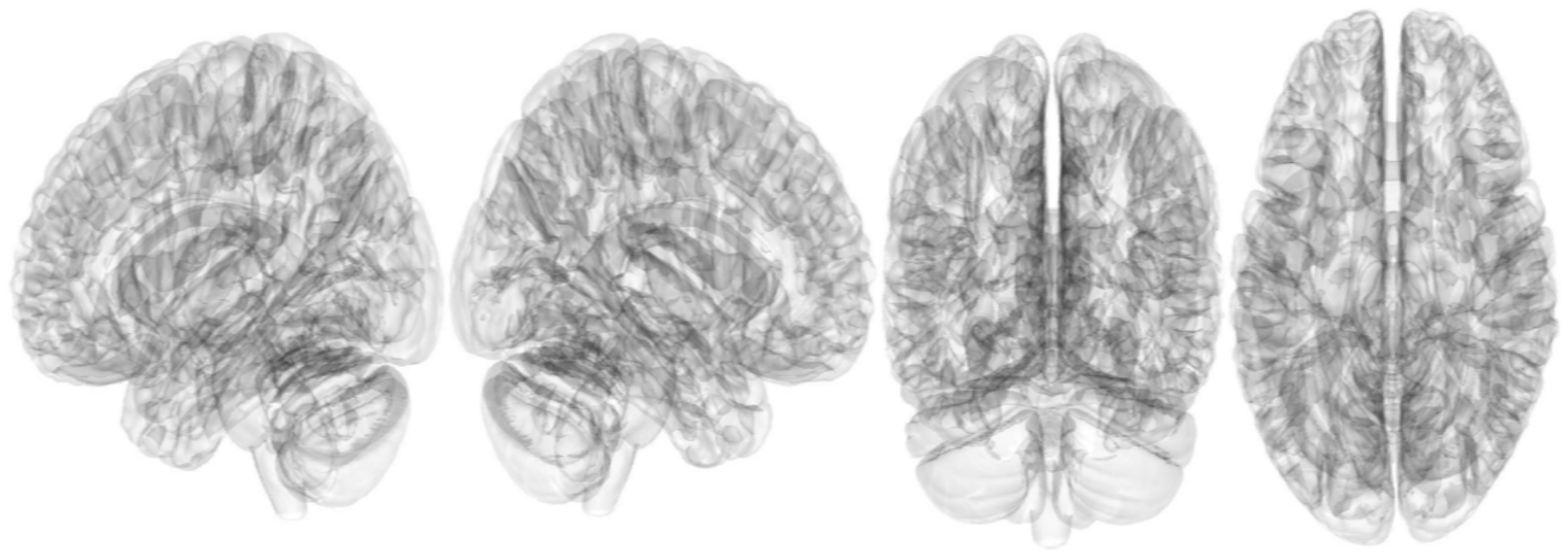 Brainsci 13 01560 g004