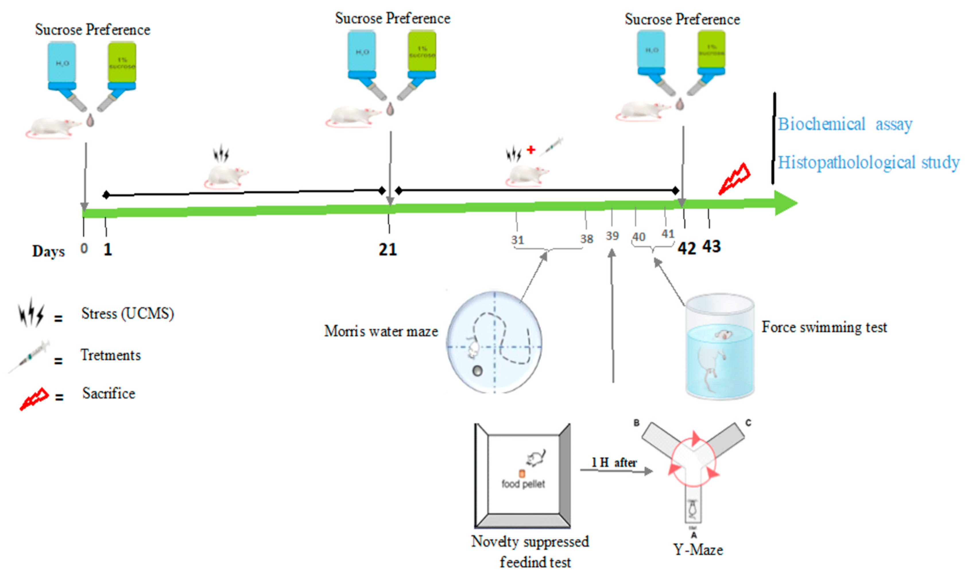 Brainsci 13 01561 g016