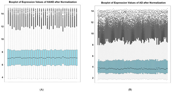 Brainsci 13 01564 g0a1a Brainsci 13 01564 g0a1a