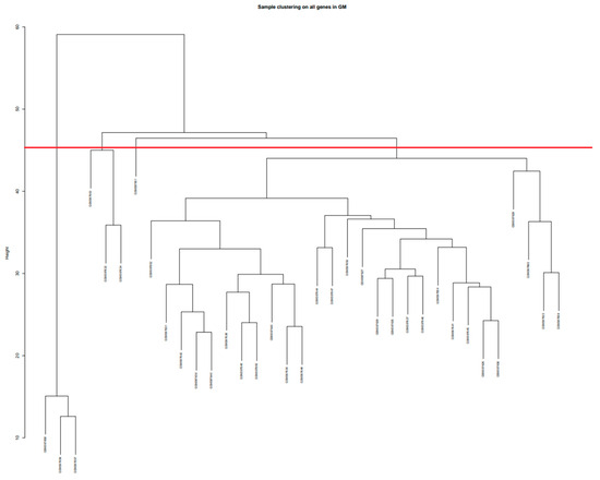 Brainsci 13 01564 g0a2