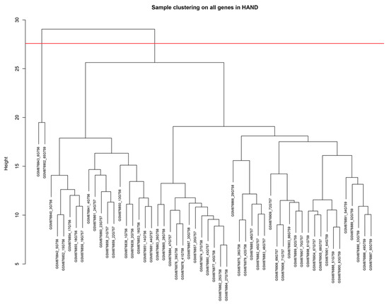 Brainsci 13 01564 g0a3