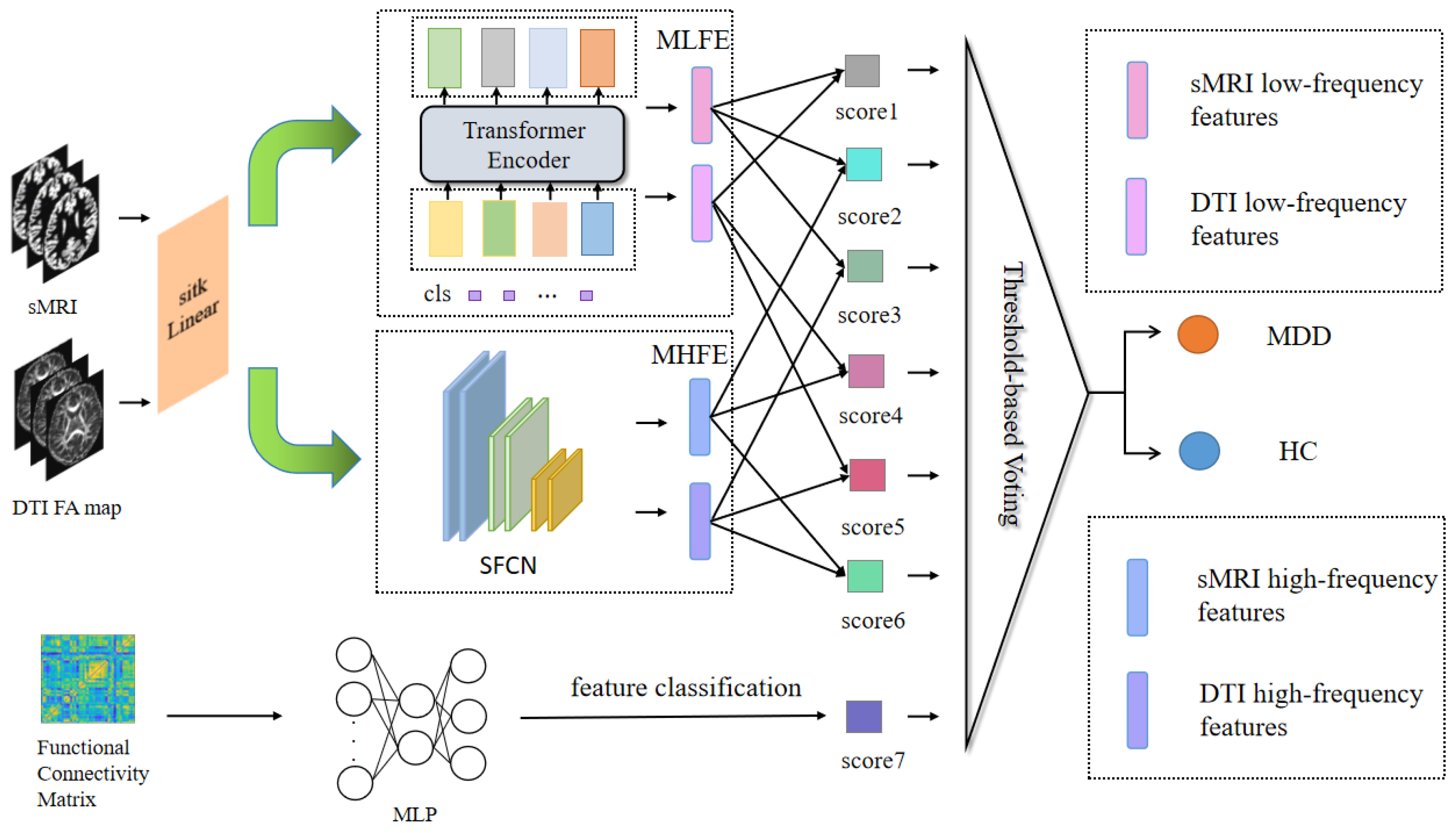 Brainsci 13 01590 g001