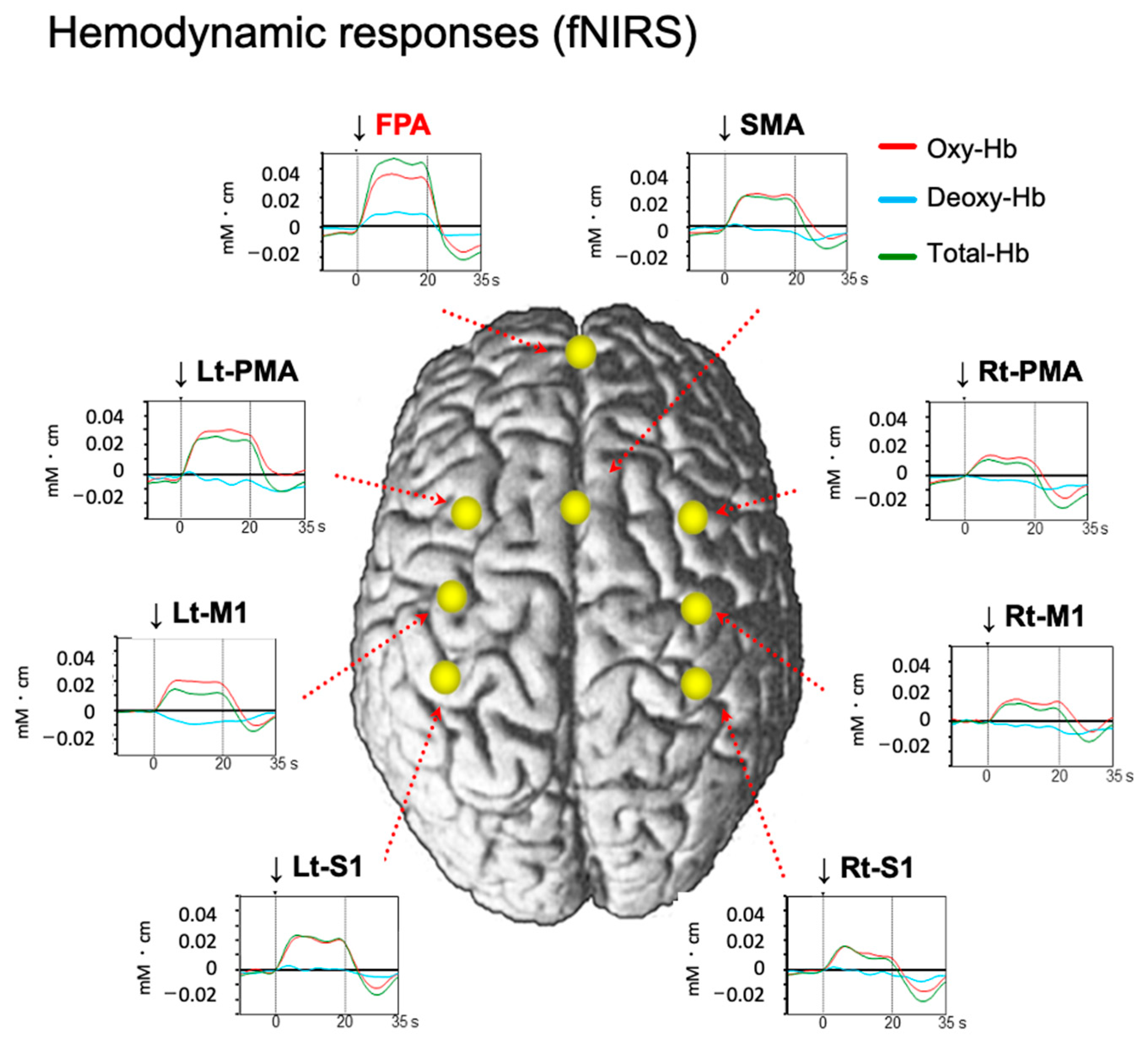 Brainsci 13 01604 g002