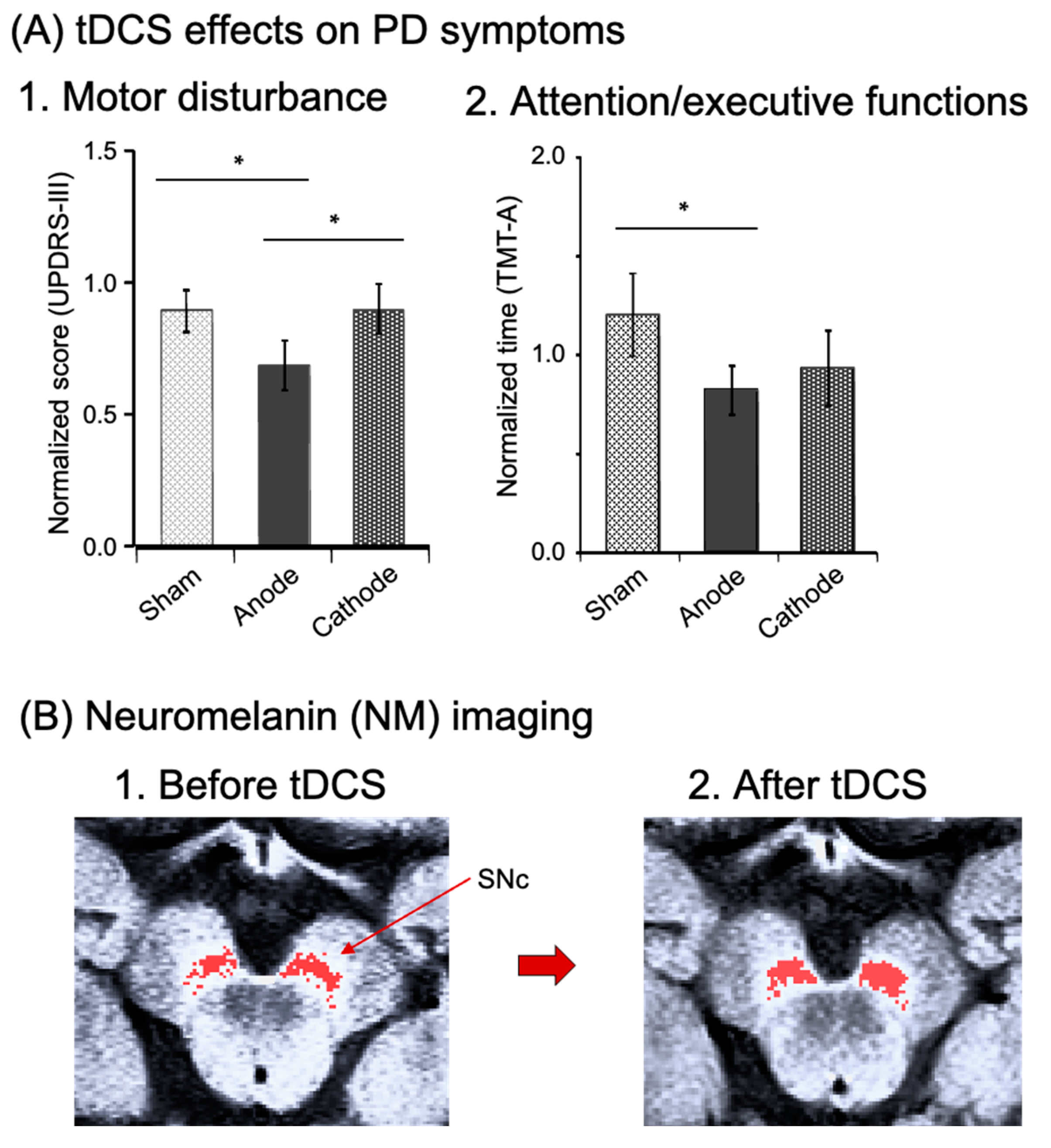 Brainsci 13 01604 g005