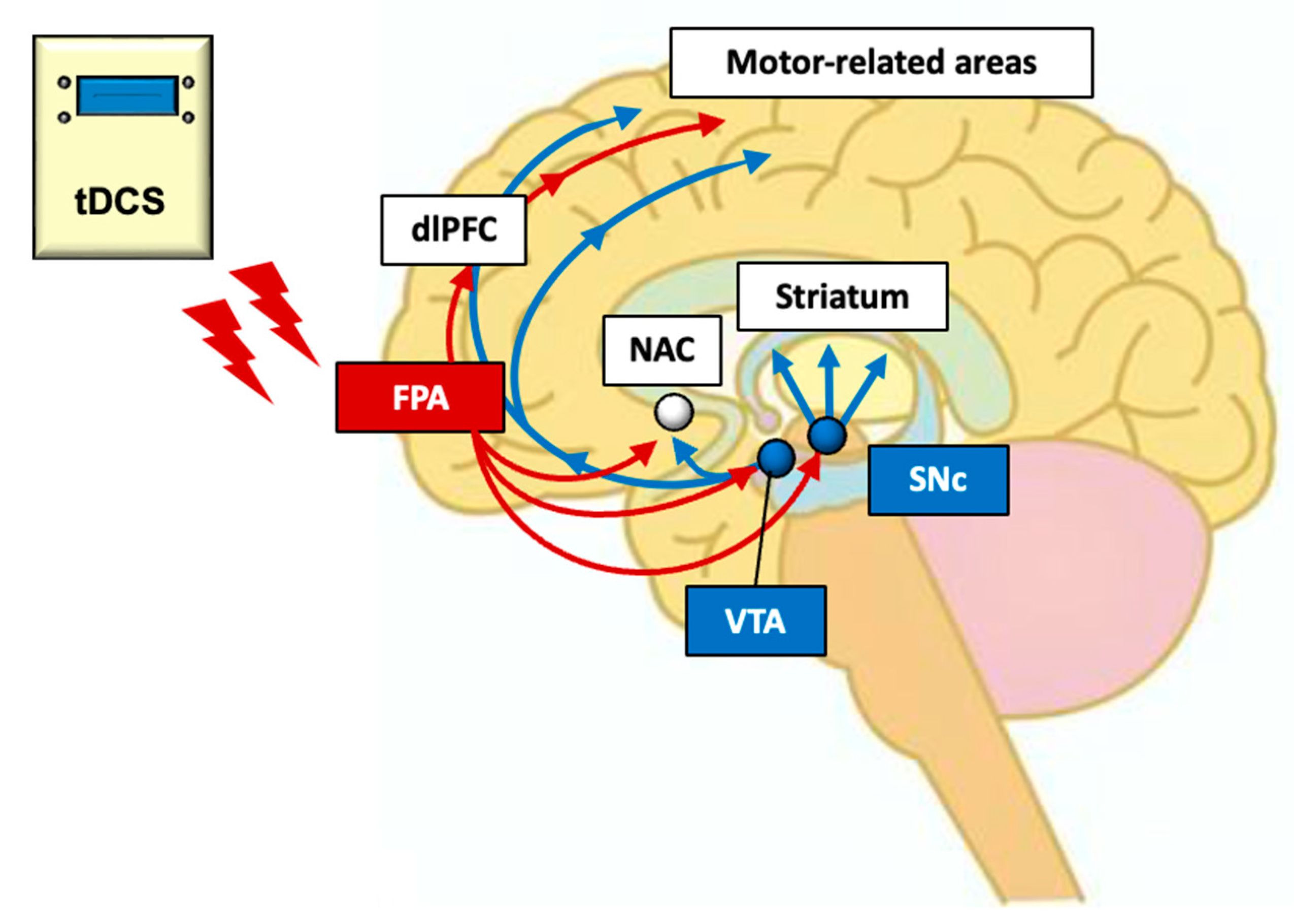 Brainsci 13 01604 g006