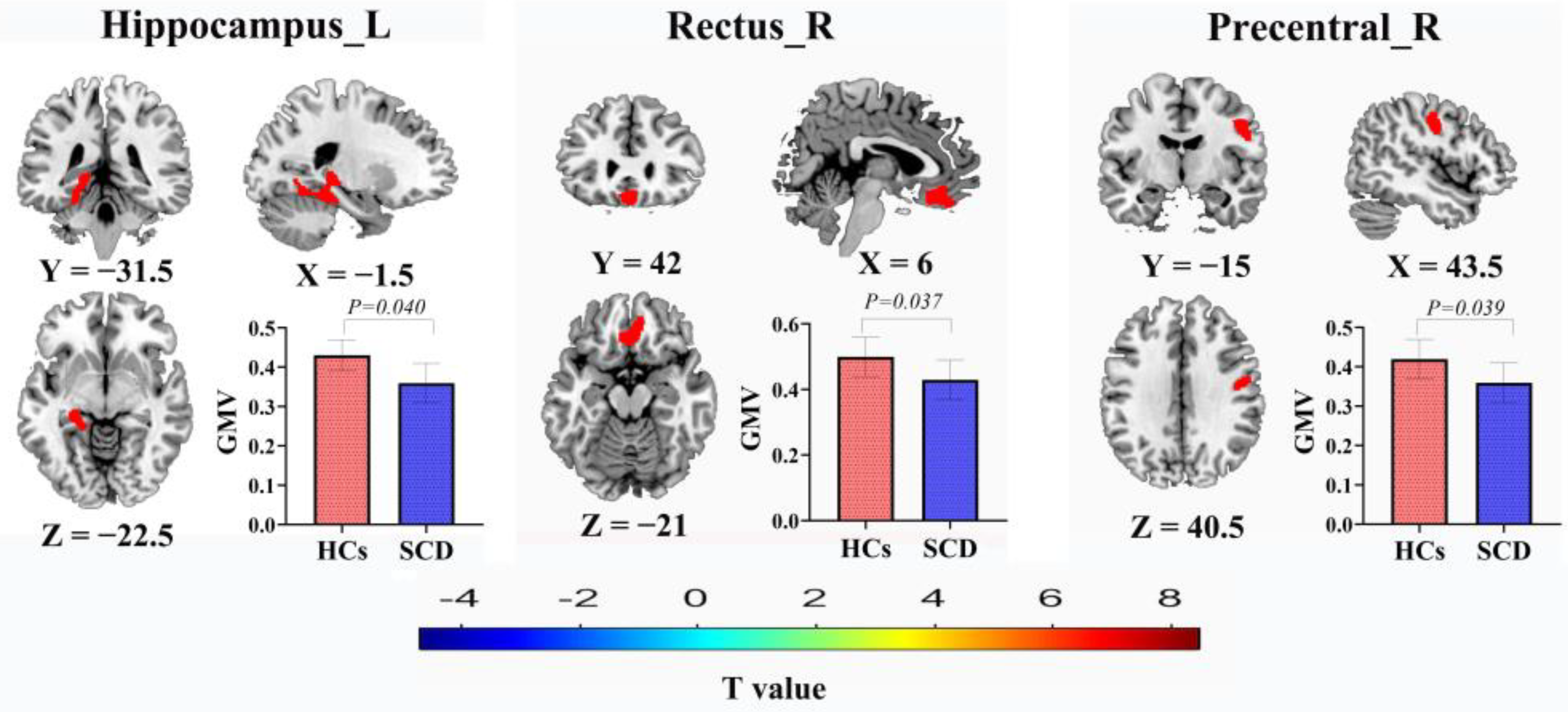 Brainsci 13 01624 g001