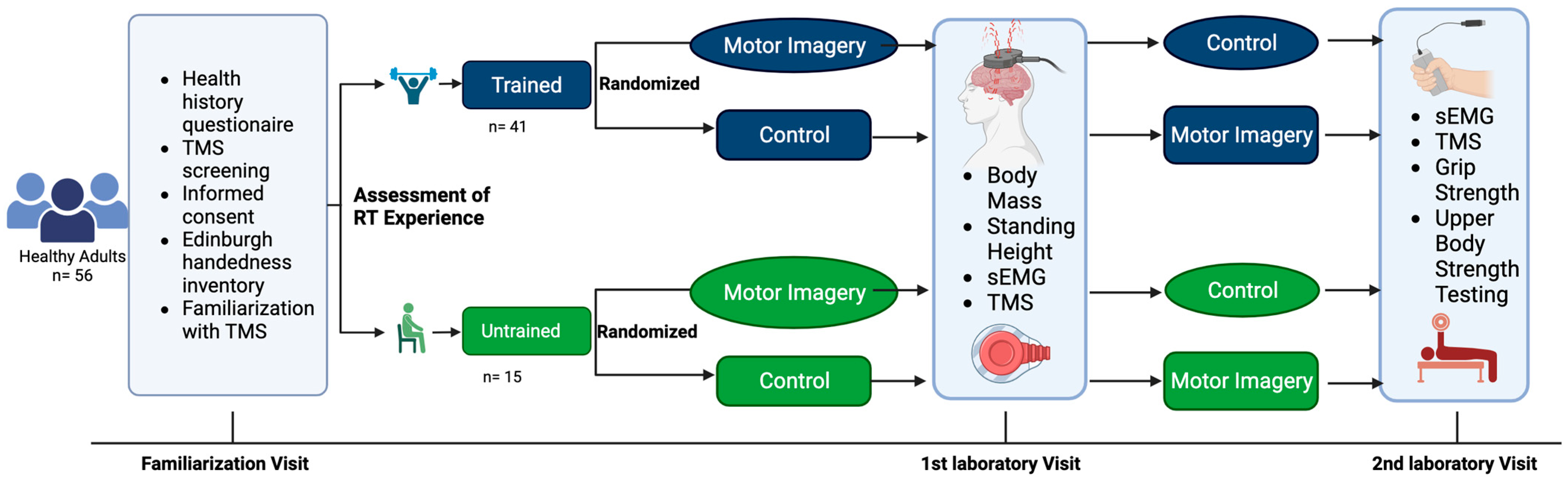 Brainsci 13 01635 g001