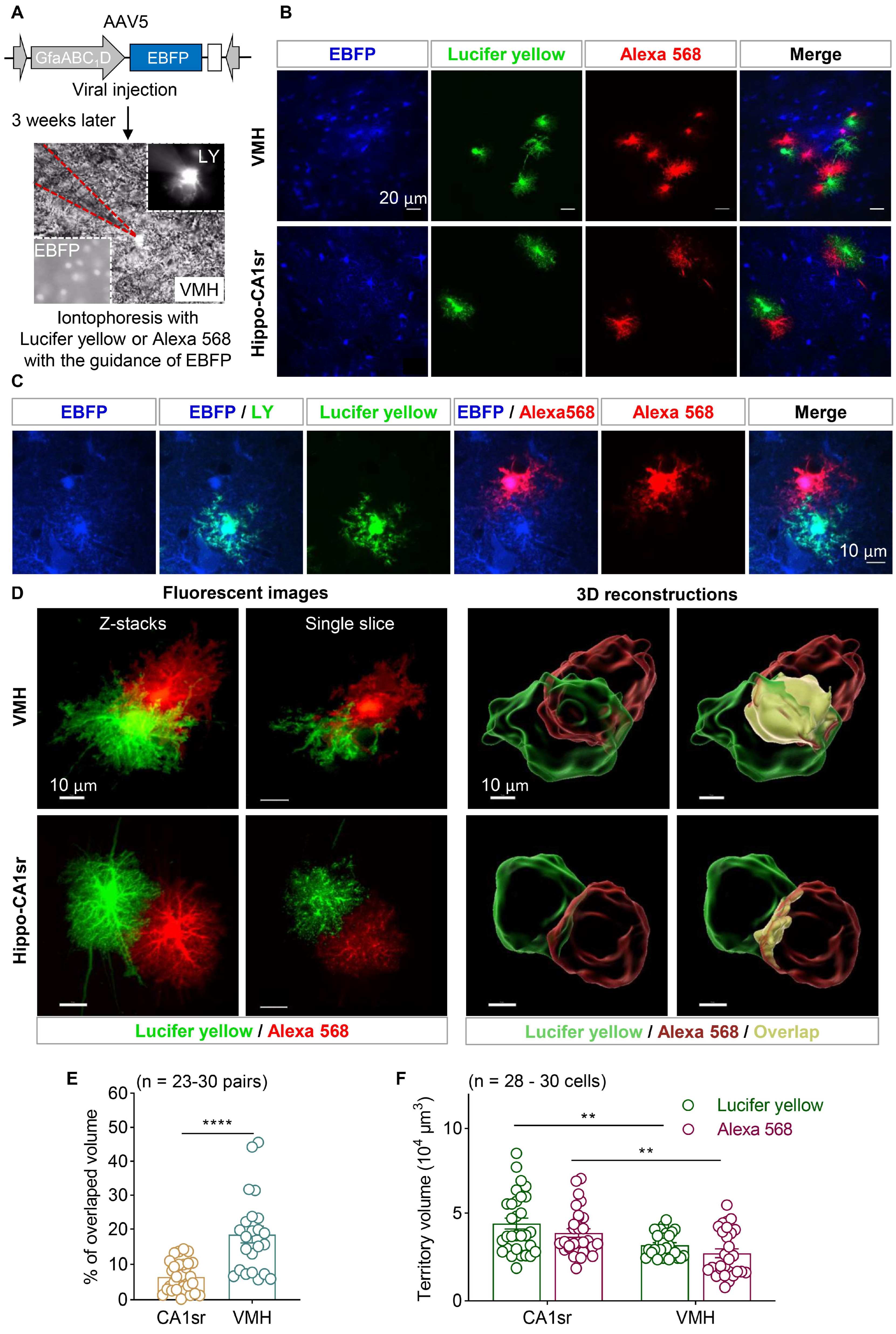 Brainsci 13 01644 g004