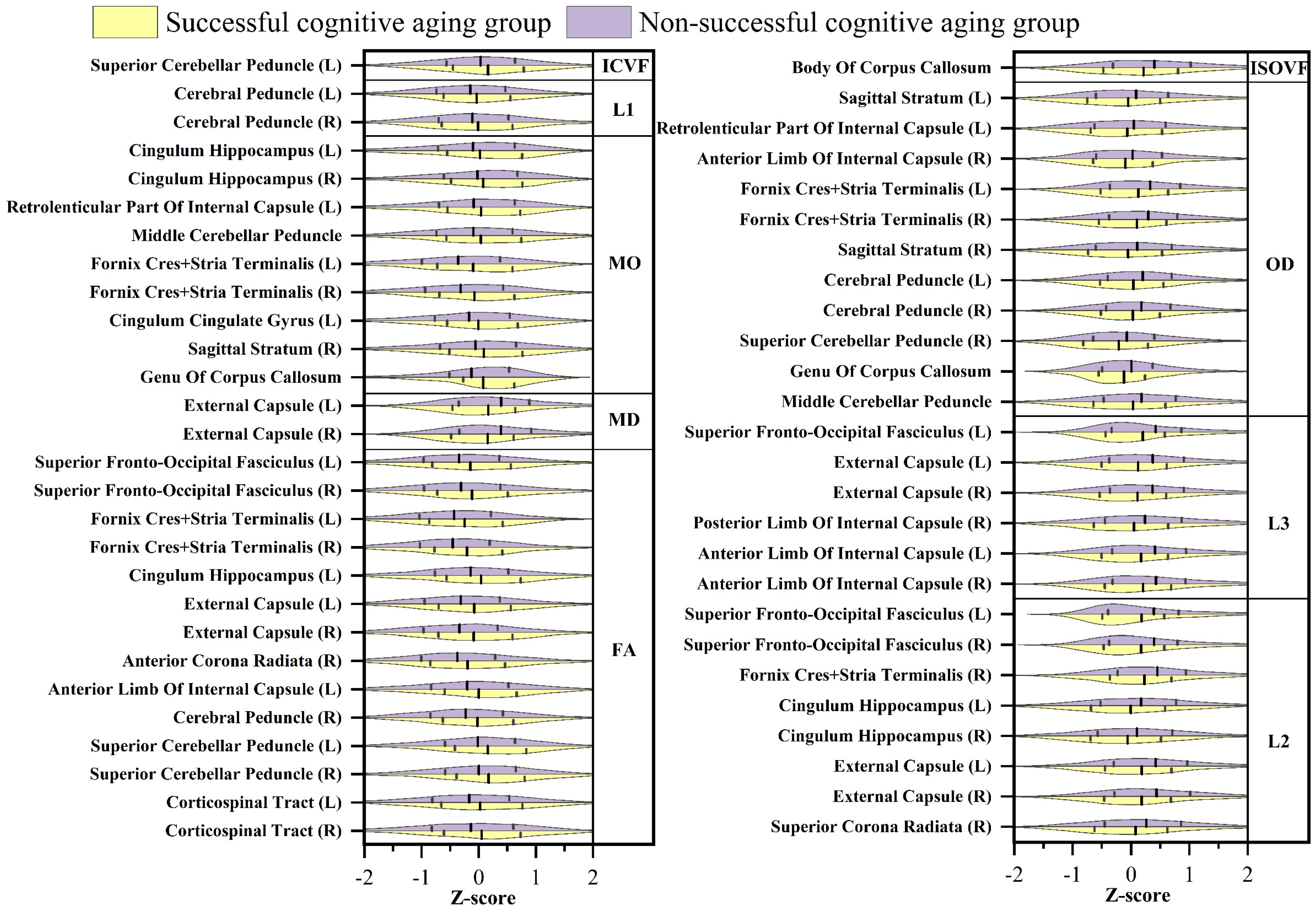 Brainsci 13 01651 g002 Brainsci 13 01651 g002