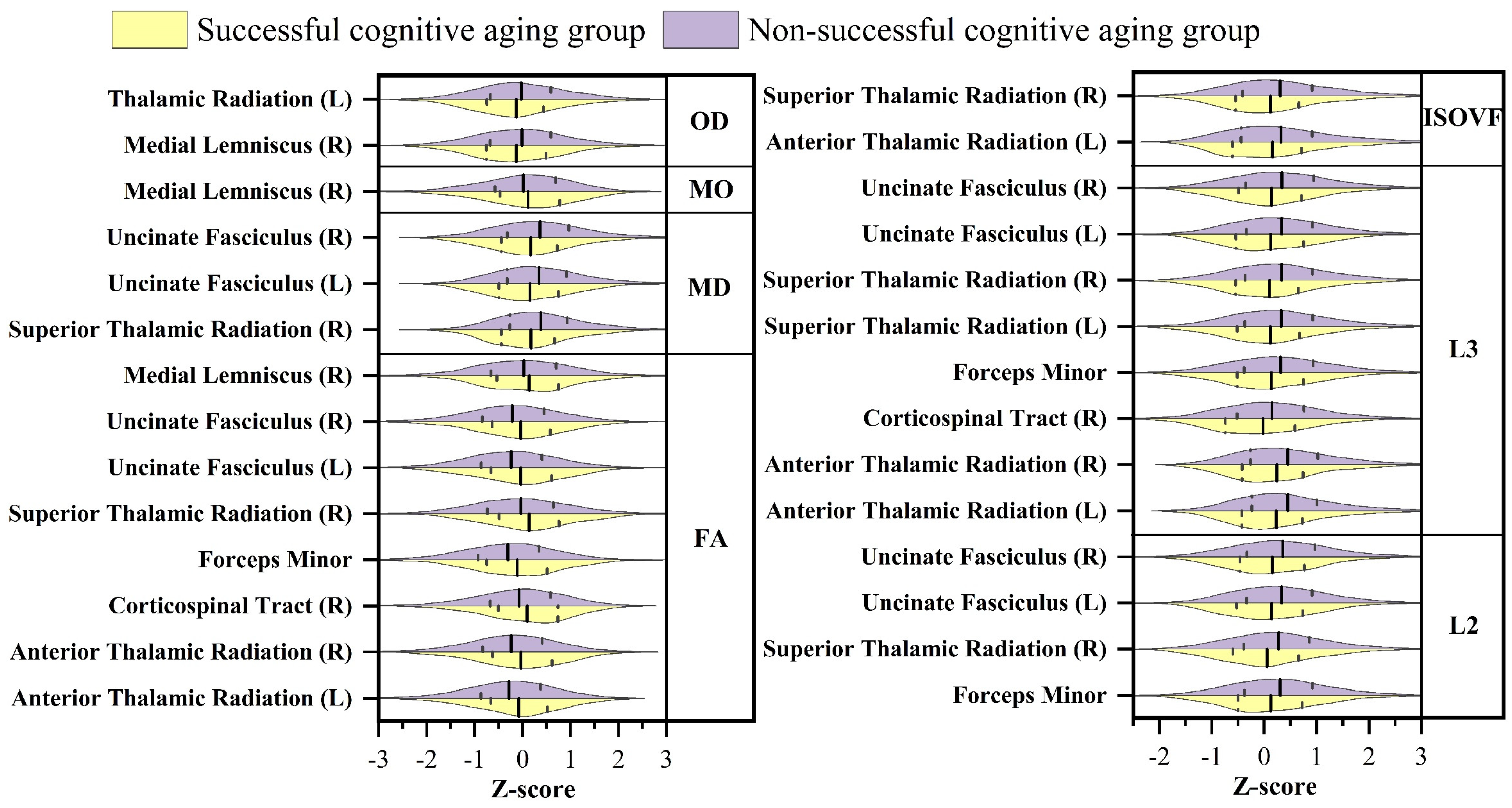 Brainsci 13 01651 g003 Brainsci 13 01651 g003