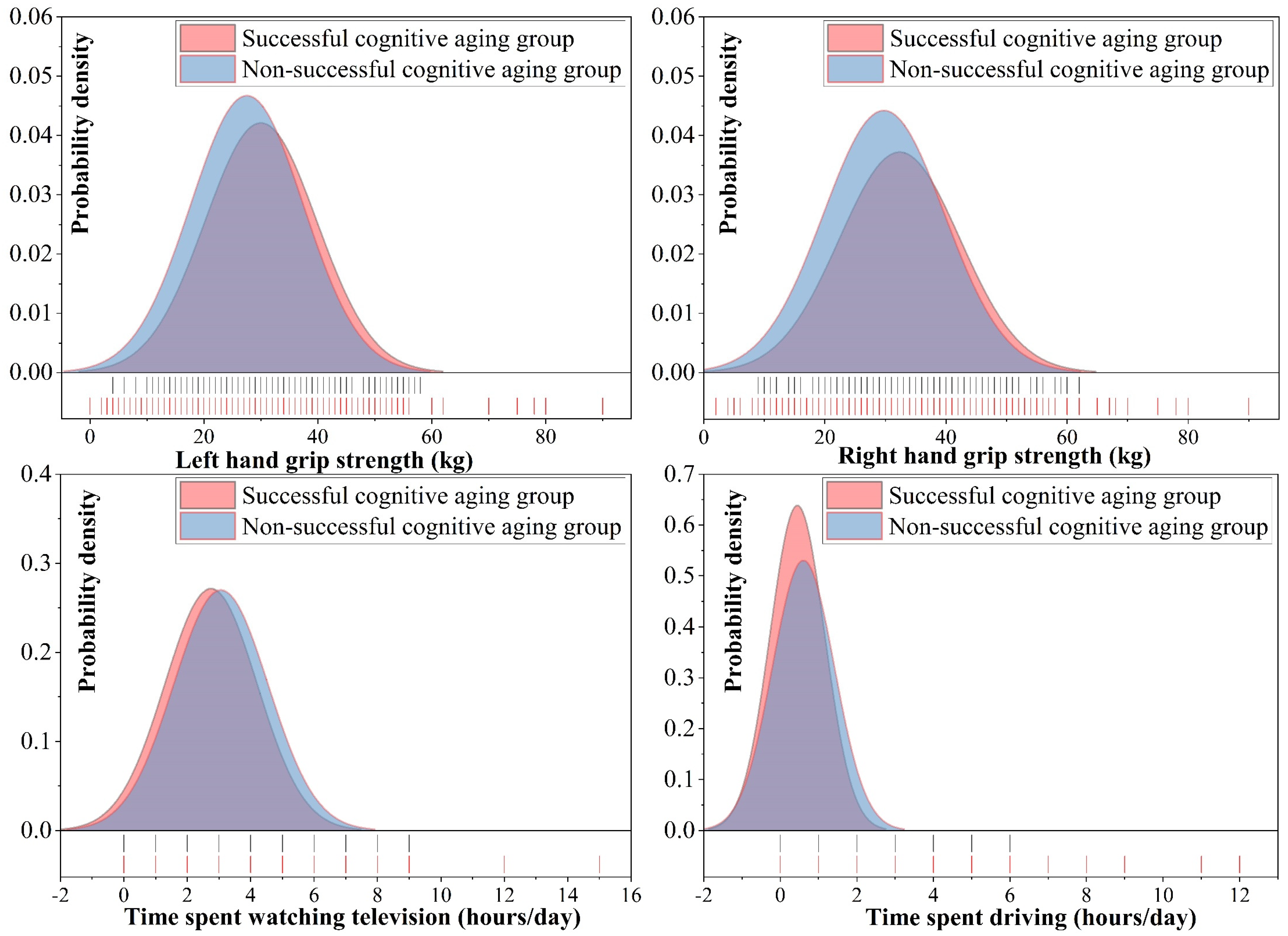 Brainsci 13 01651 g005 Brainsci 13 01651 g005
