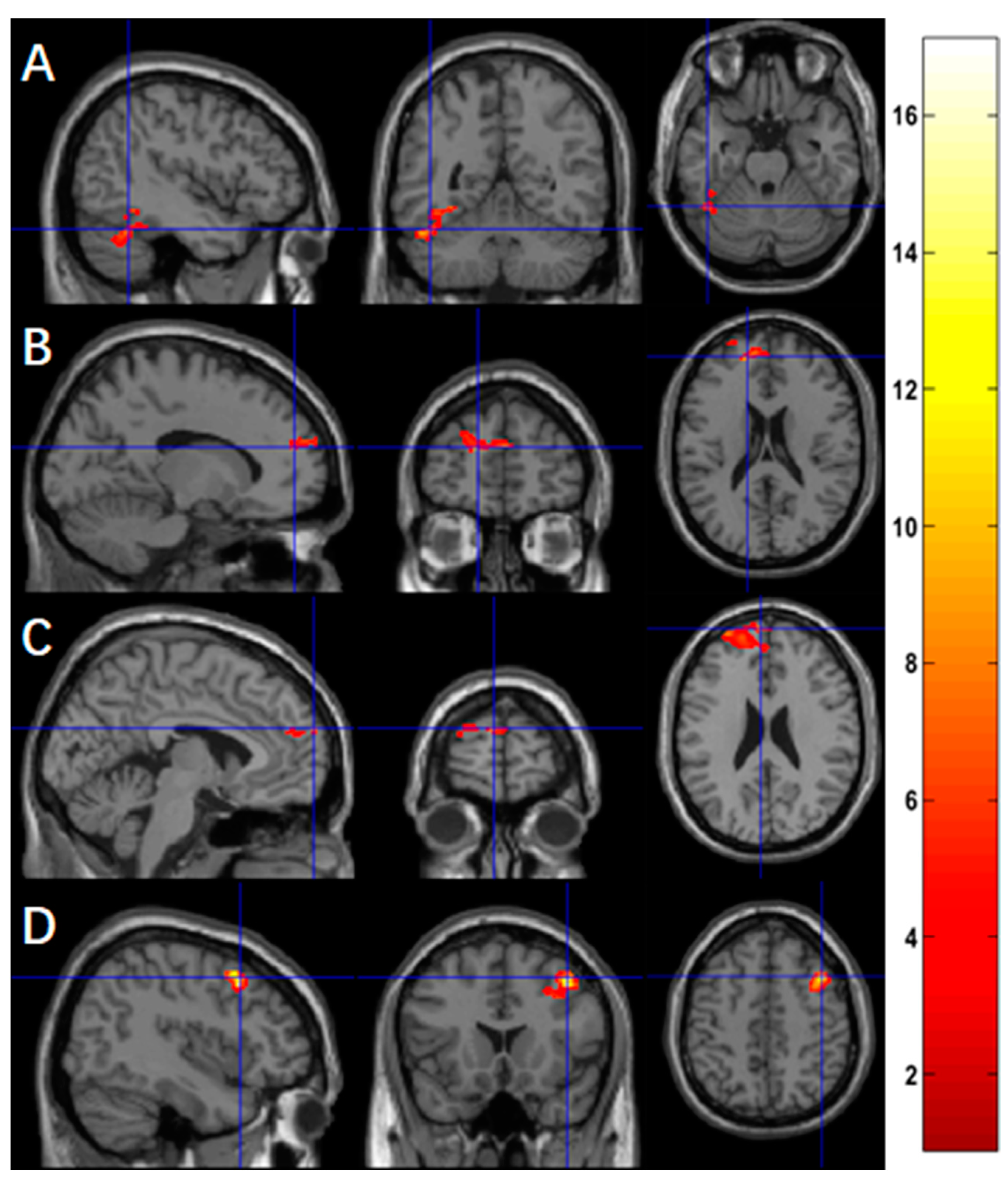 Brainsci 13 01653 g002