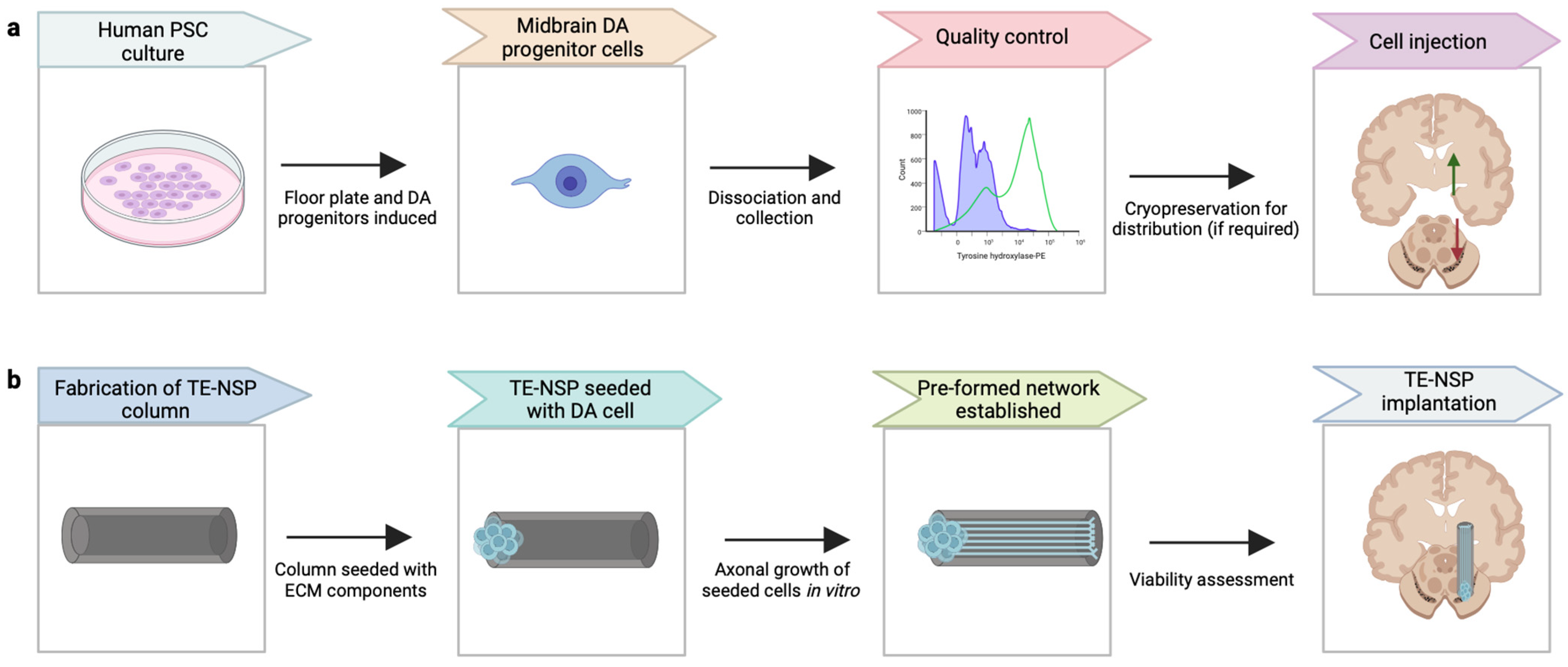 Brainsci 13 01654 g002